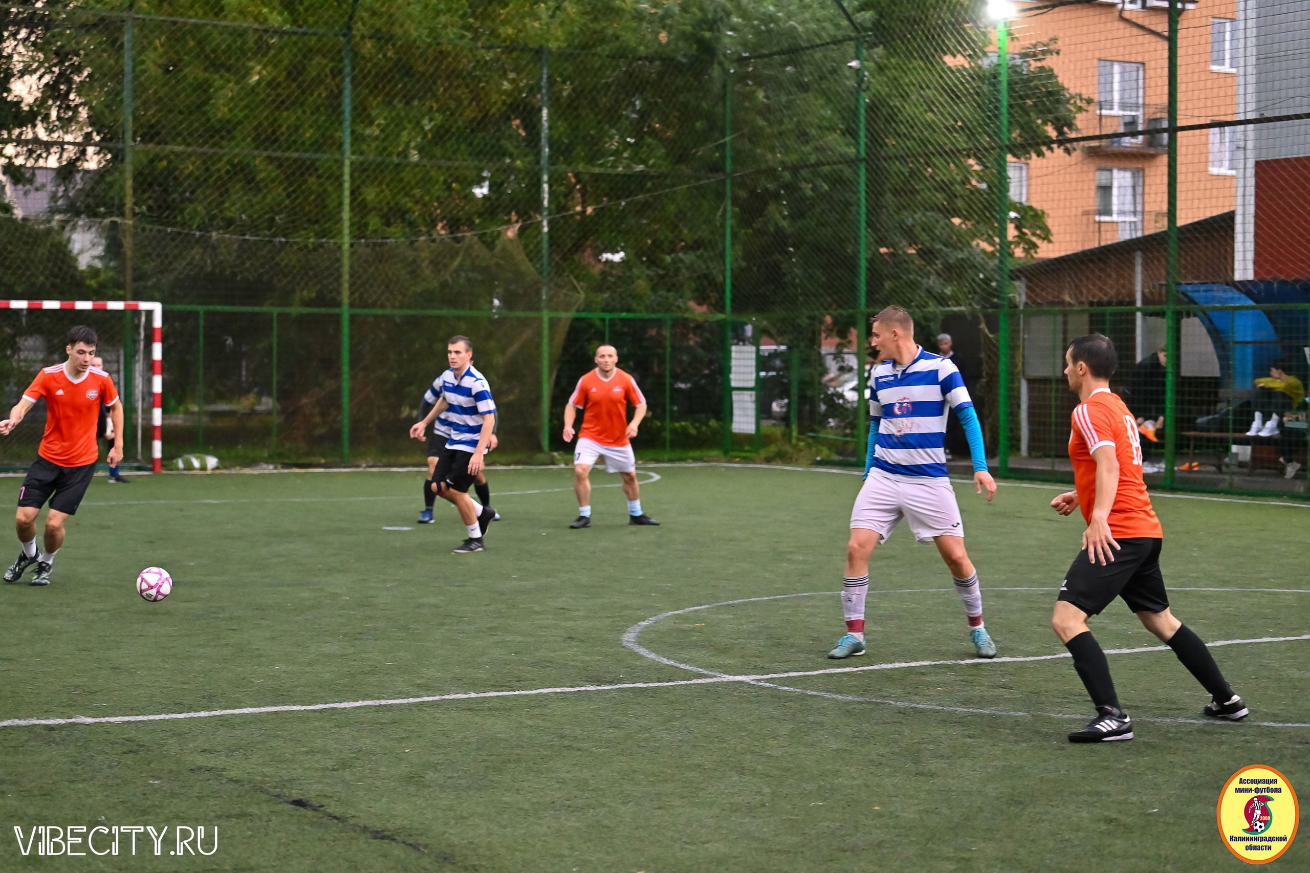 ИГРЫ МИНИ-ФУТБОЛЬНОЙ И КОРПОРАТИВНОЙ ЛИГИ. VIBECITY.RU Вайб Сити Ру Фоторепортажи Фотоотчеты Калининград