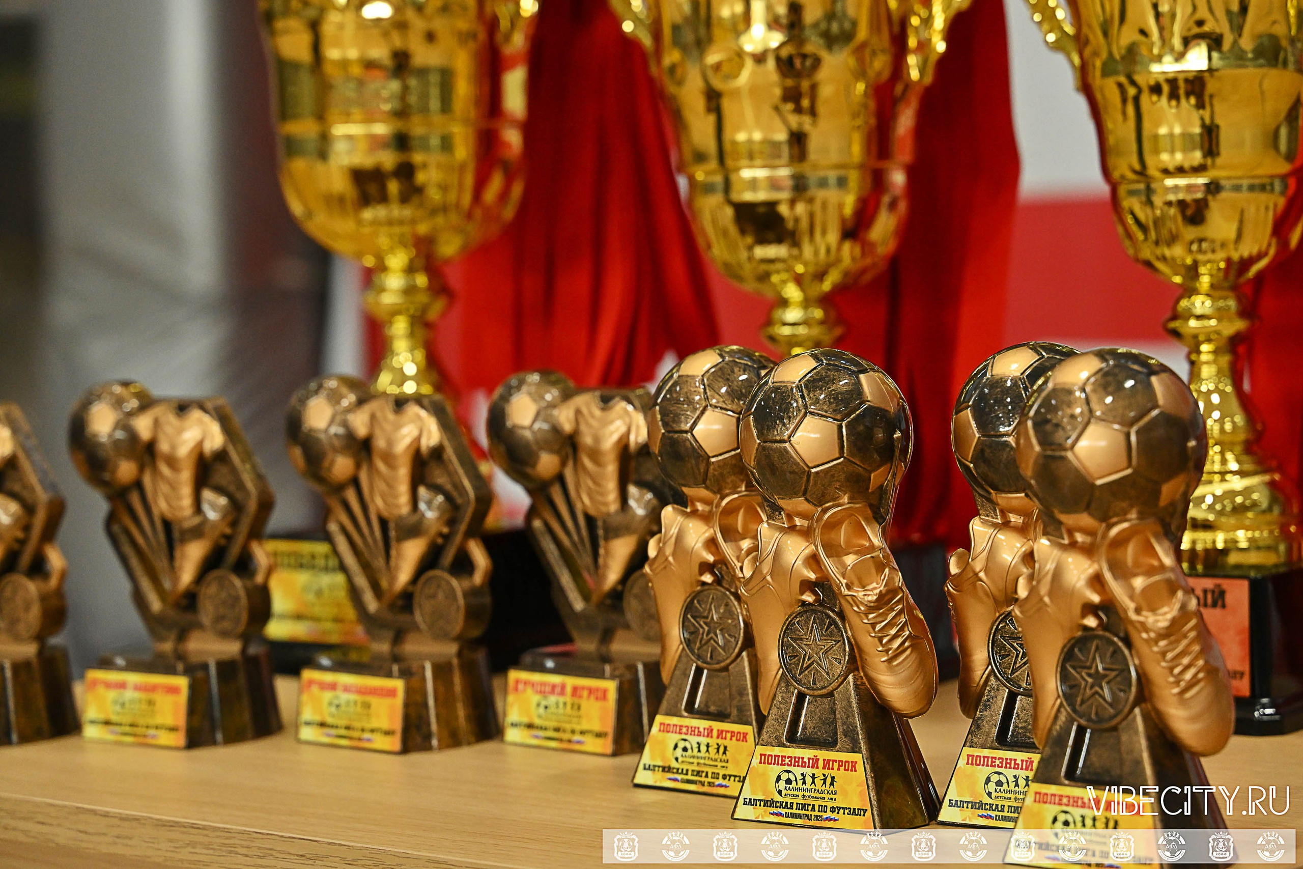 БАЛТИЙСКАЯ ЛИГА ПО ФУТЗАЛУ U10. VIBECITY.RU Вайб Сити Ру Фоторепортажи Фотоотчеты Калининград