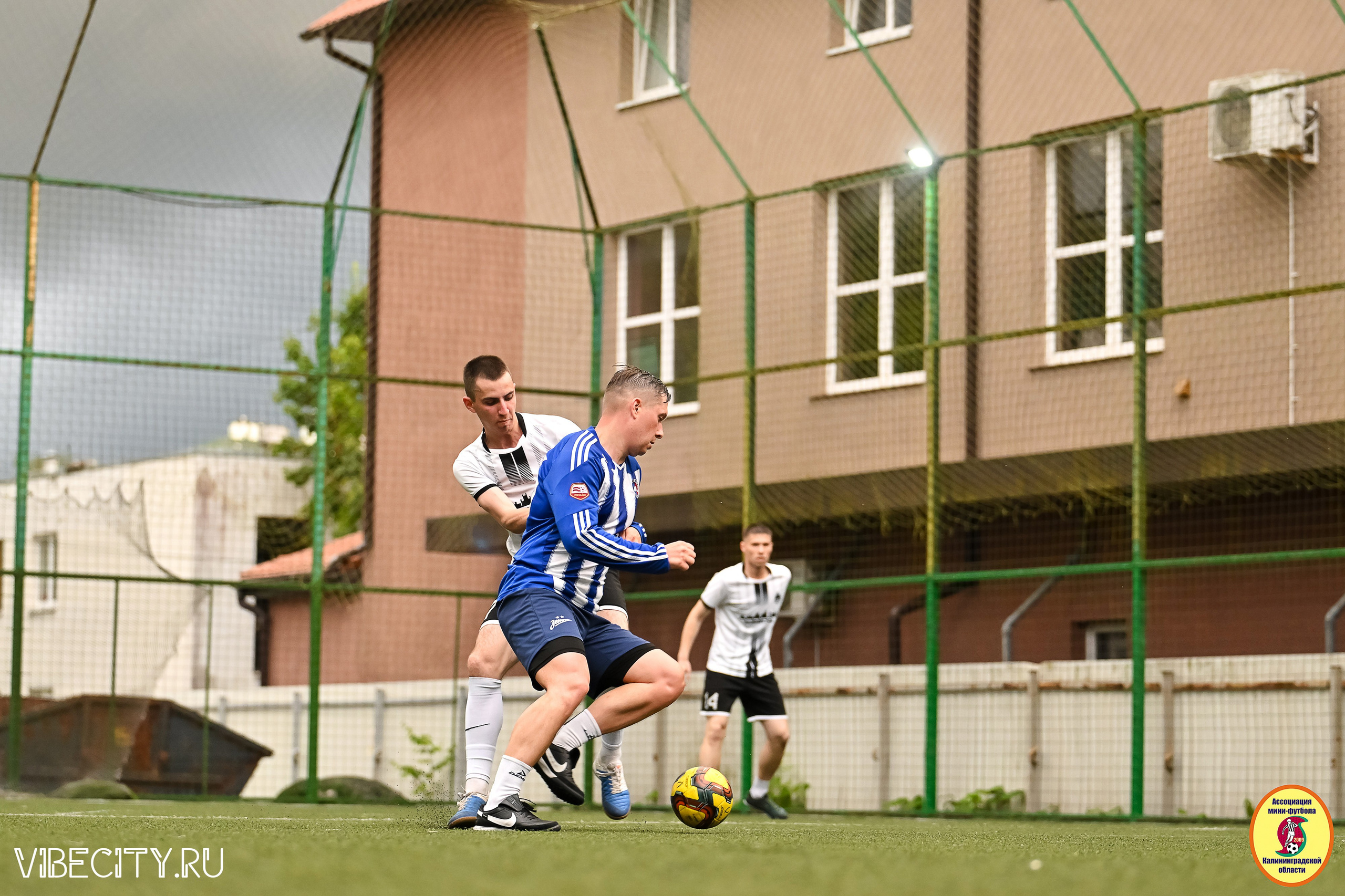 ИГРЫ МИНИ-ФУТБОЛЬНОЙ И КОРПОРАТИВНОЙ ЛИГИ. VIBECITY.RU Вайб Сити Ру Фоторепортажи Фотоотчеты Калининград