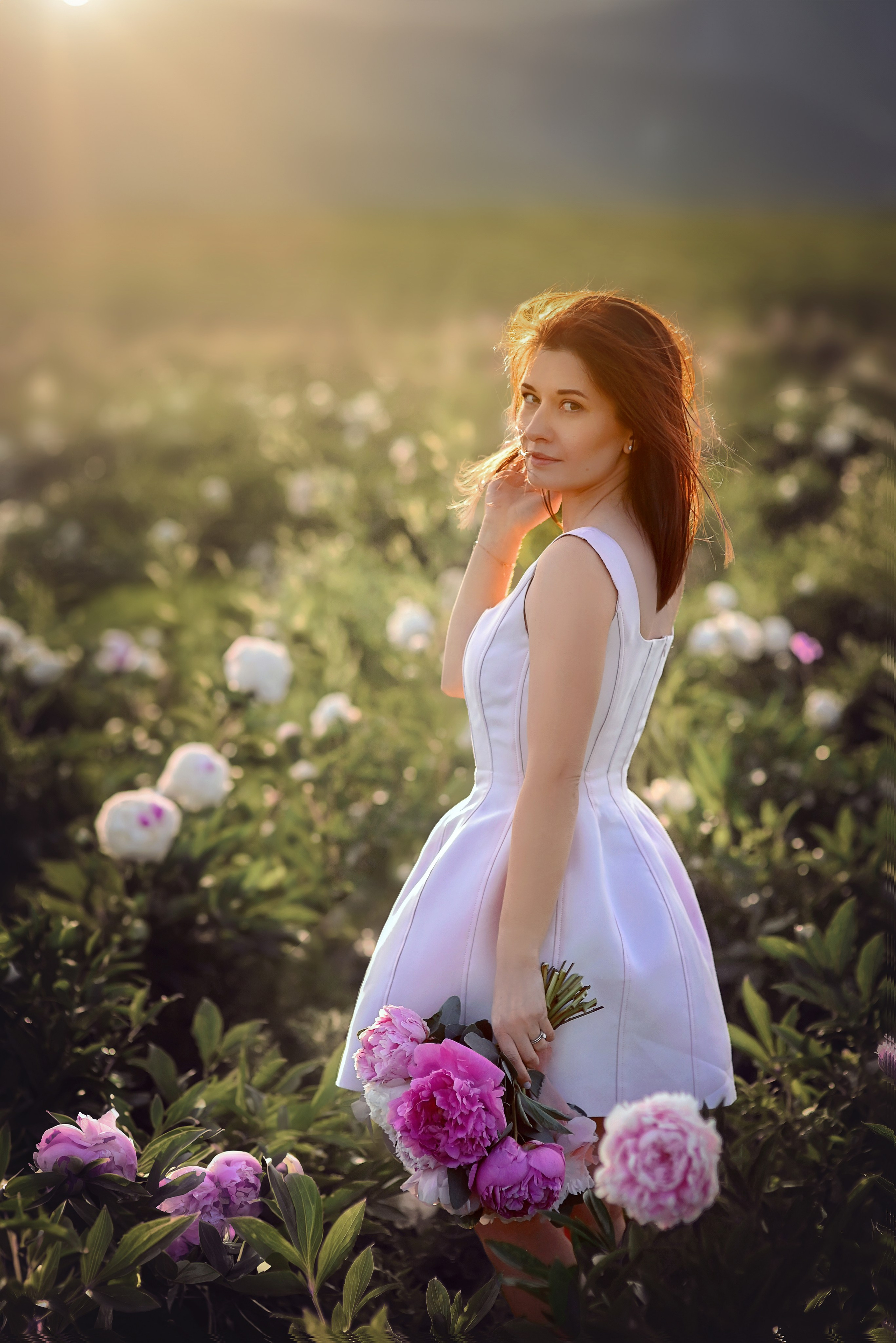 Champs de pivoines. Photographer in Provence Julia Lipiainen