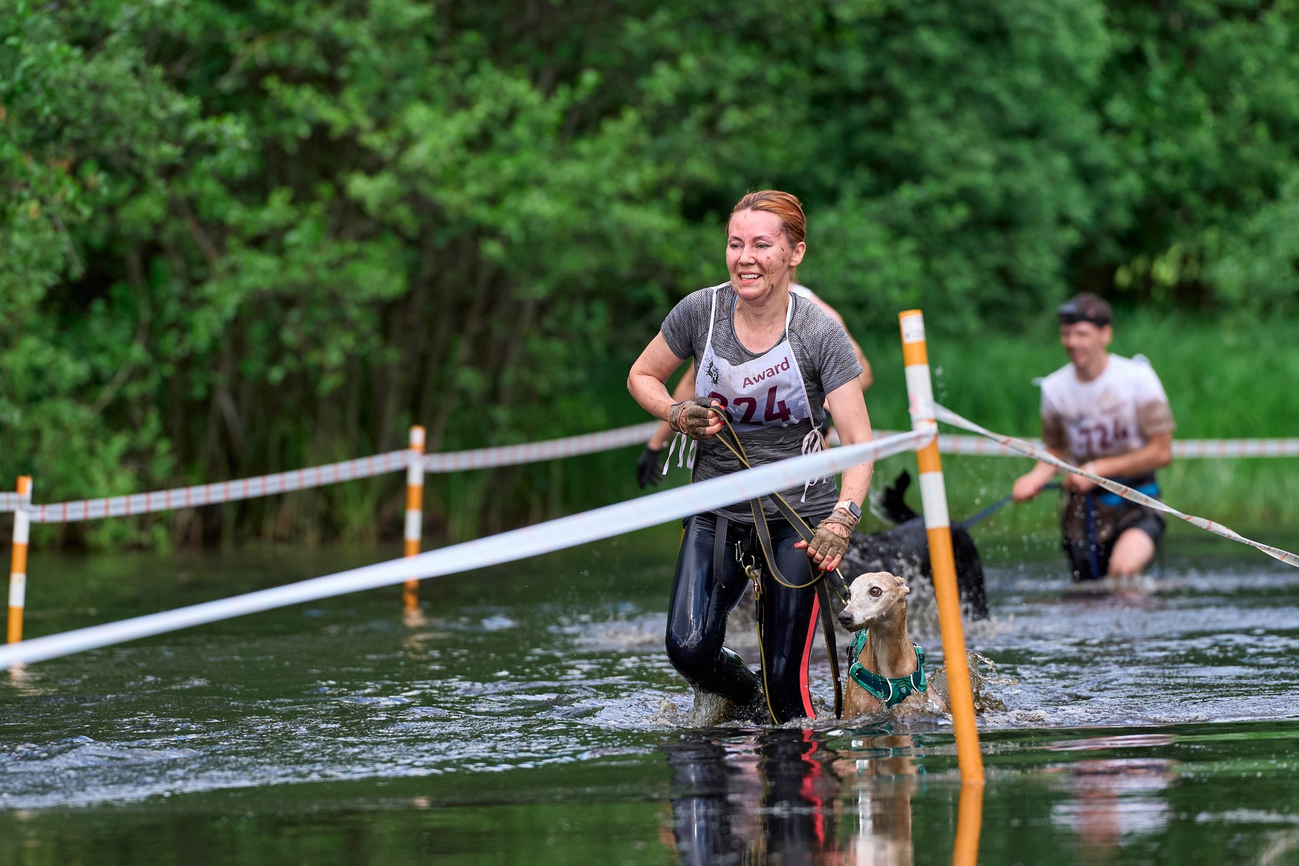 Хвостатый драйв — 2024. Фотограф-анималист Михаил Манухин