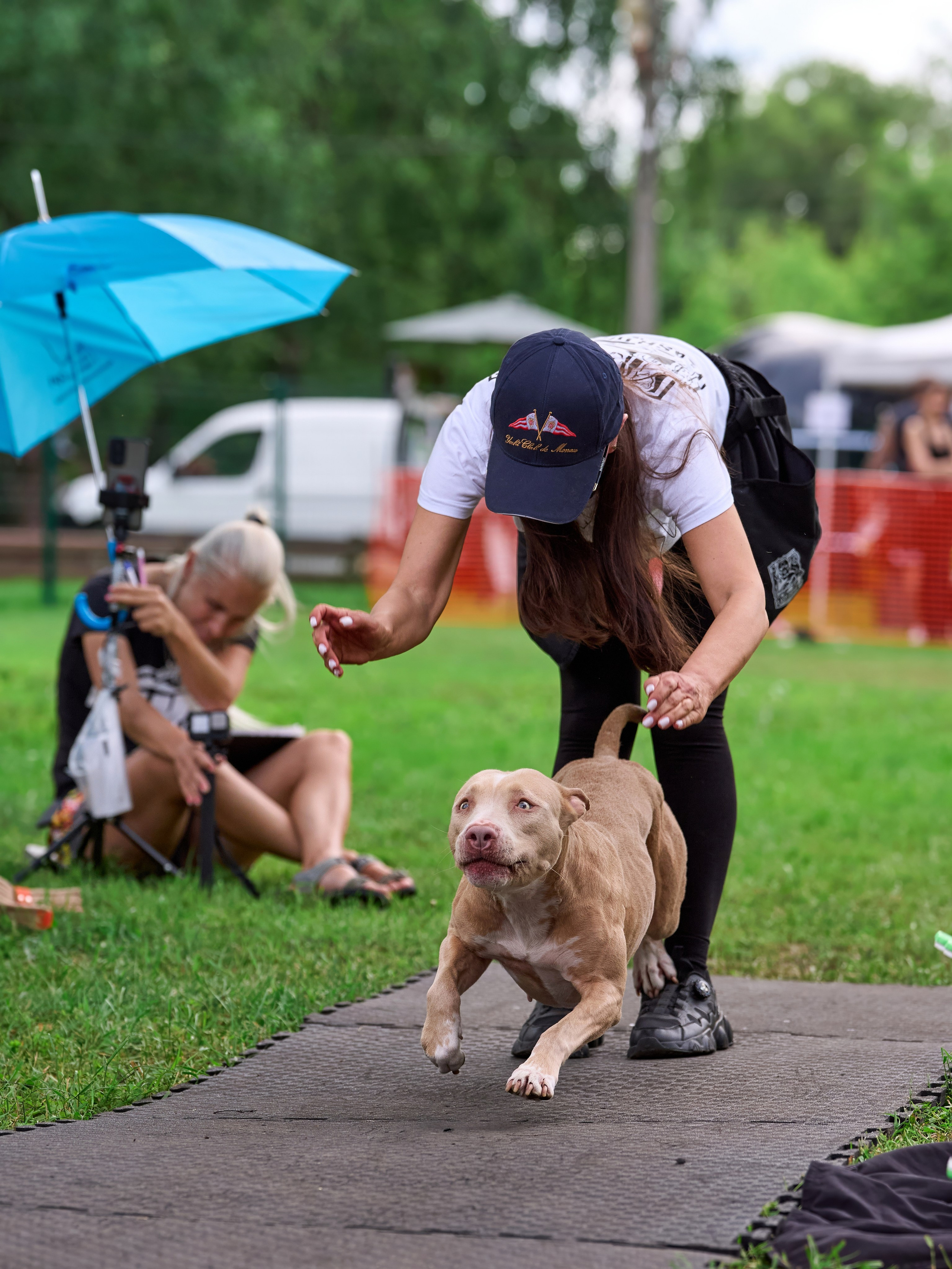 Двухдневные соревнования «Jump'n'Gym Fest — 2024». Фотограф-анималист Михаил Манухин