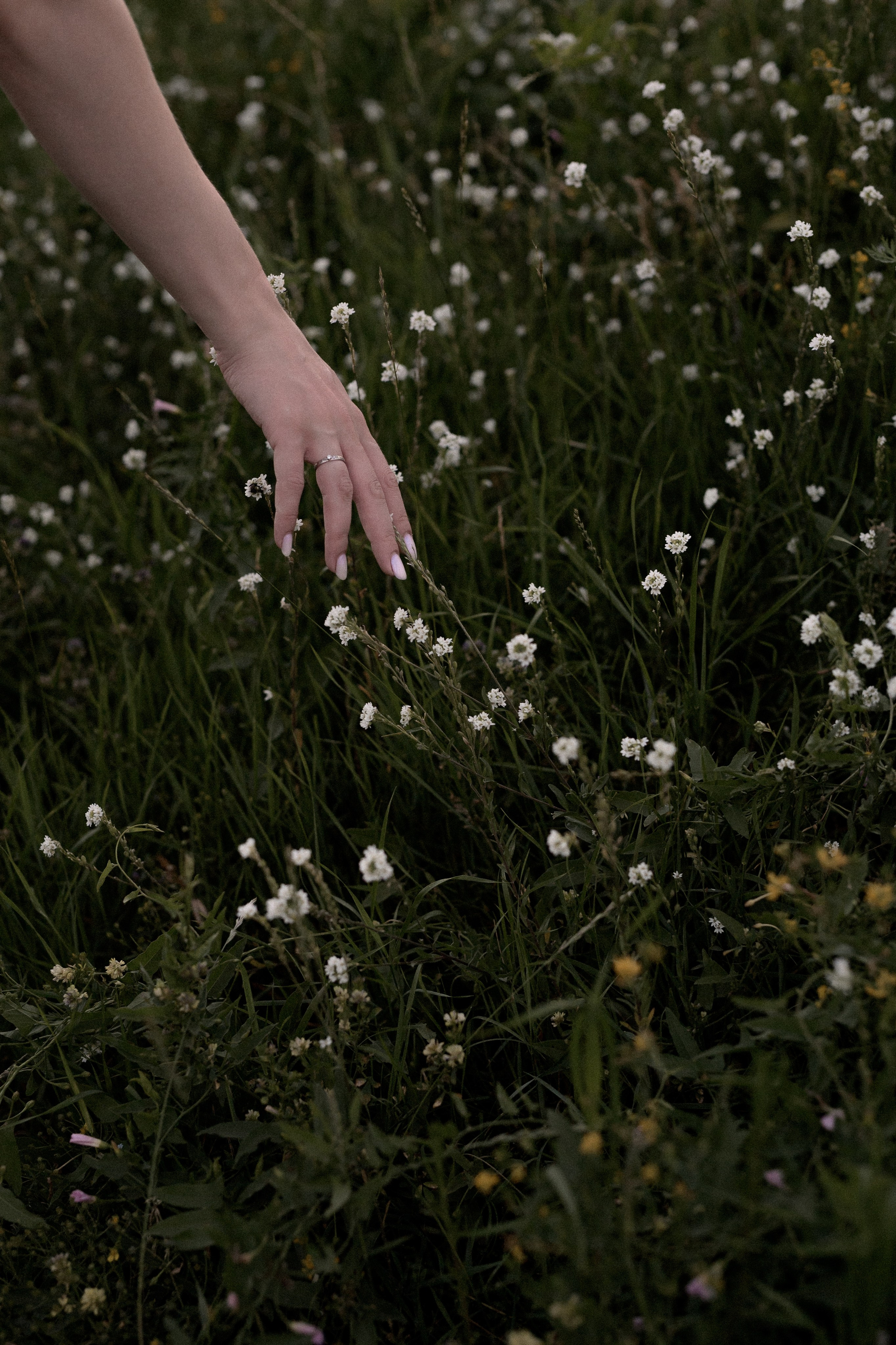 Беременность Ульяны. Свадебный фотограф в Новосибирске Алена Цизман