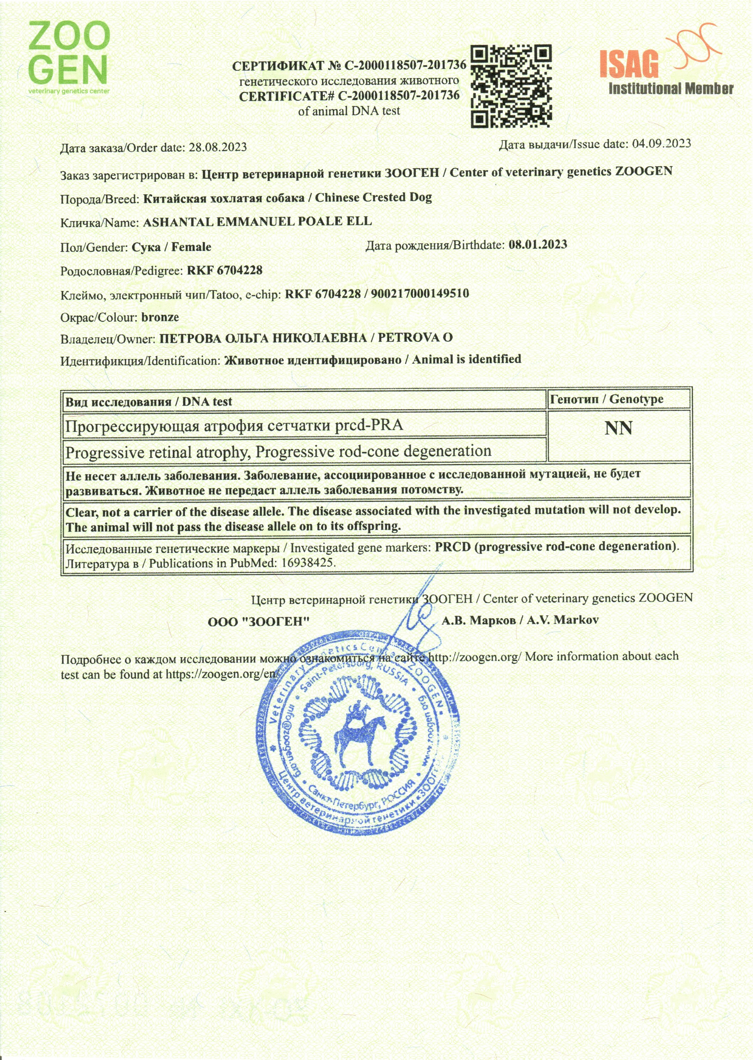 Ashantal Emmanuel Poale Ell. Chinese Crested Dog Kennel Poale Ell