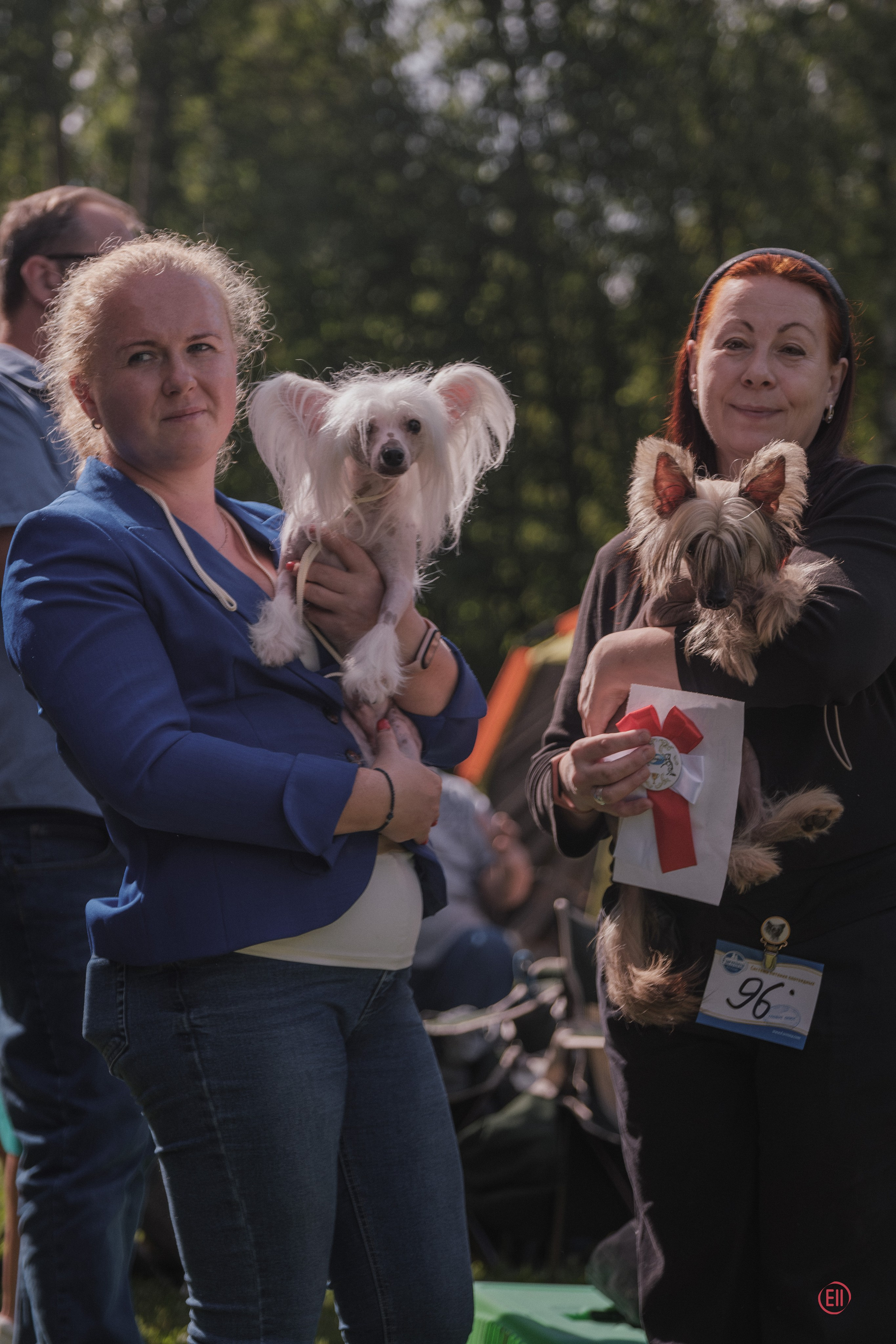 Moscow, MOO “Globus Plus”, SAS ChF rank exhibition. Chinese Crested Dog Kennel Poale Ell