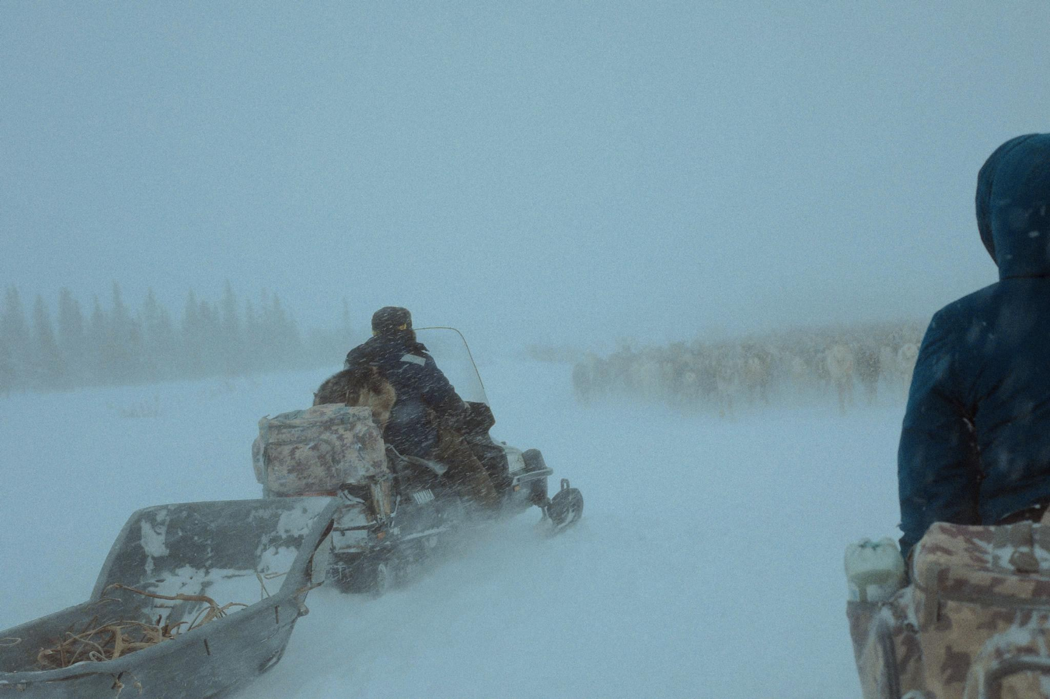 Кораль. Путешествие на север к оленям. TOP. Репортажный фотограф в Сочи — Михаил Мордасов