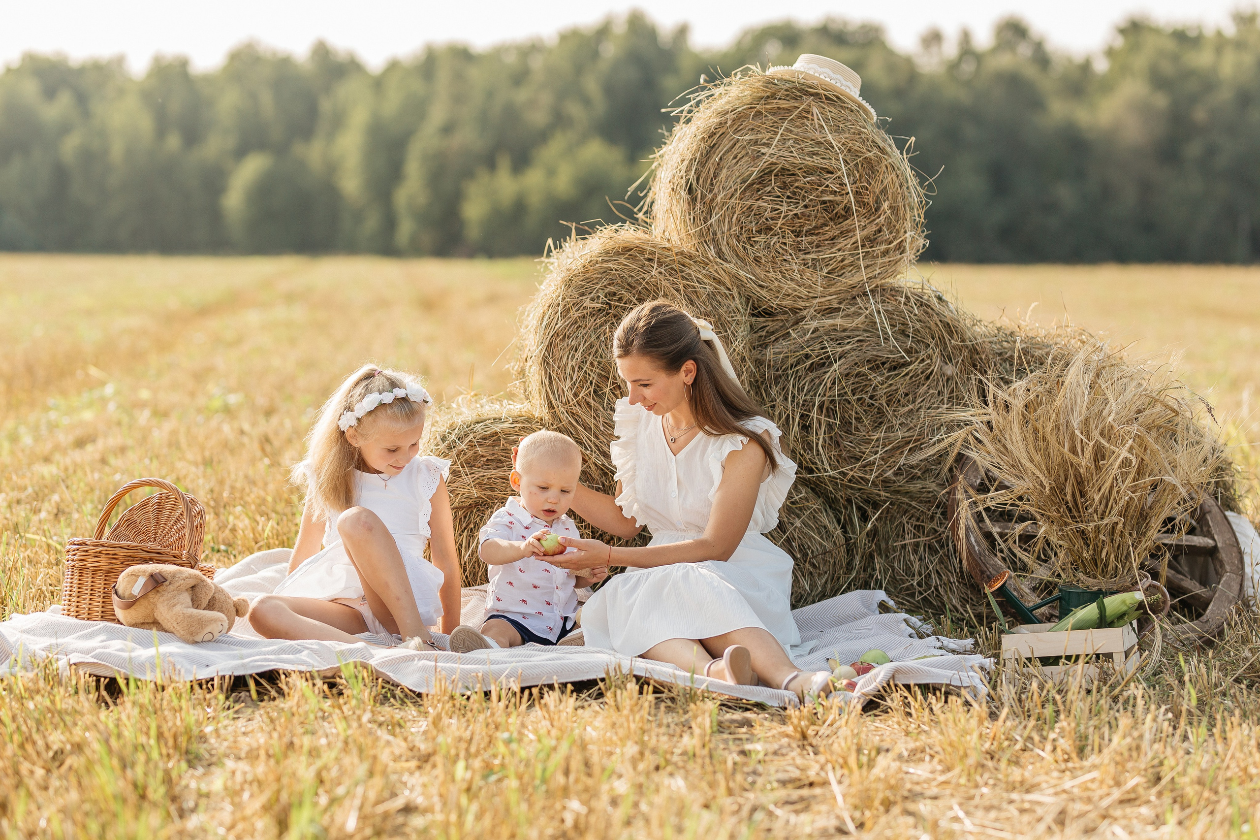 Фотодень «Август. Поле. Урожай». Фотограф Олеся Бакалина