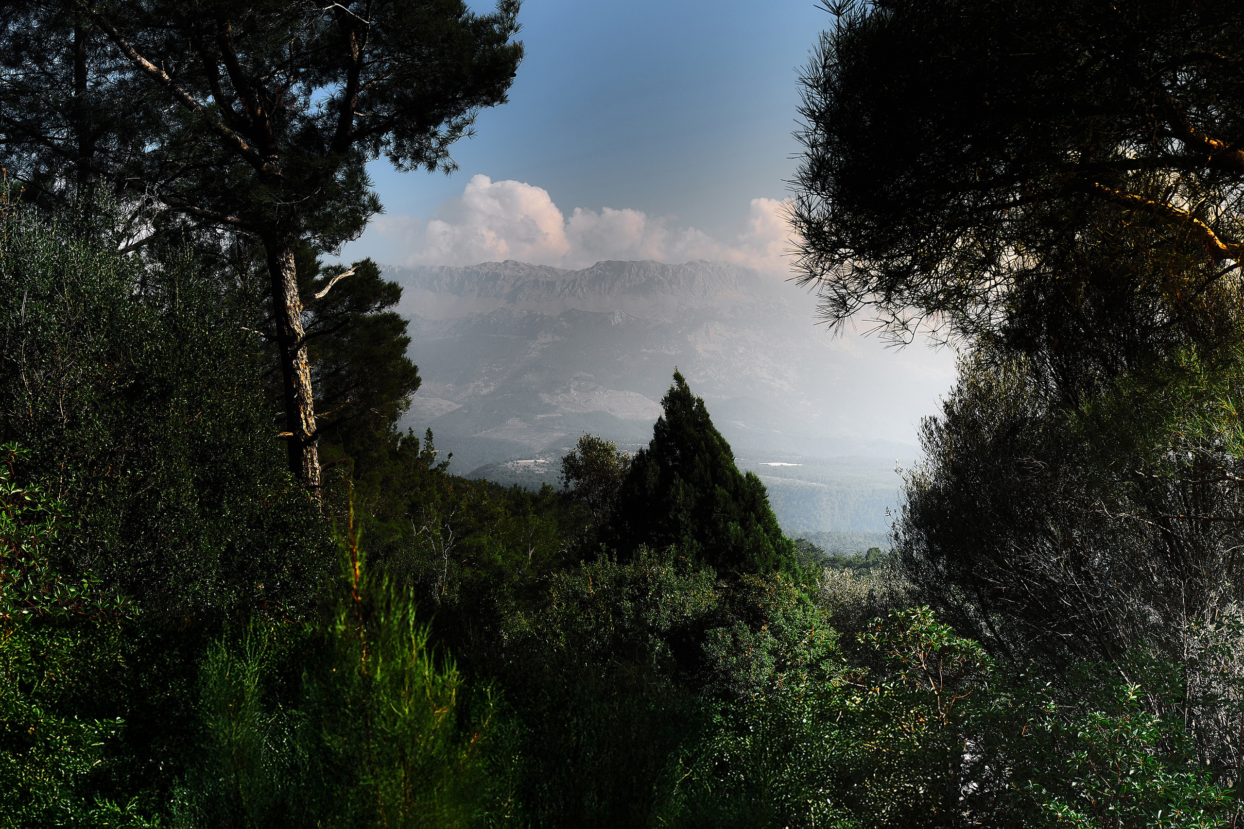 Фотограф Казань