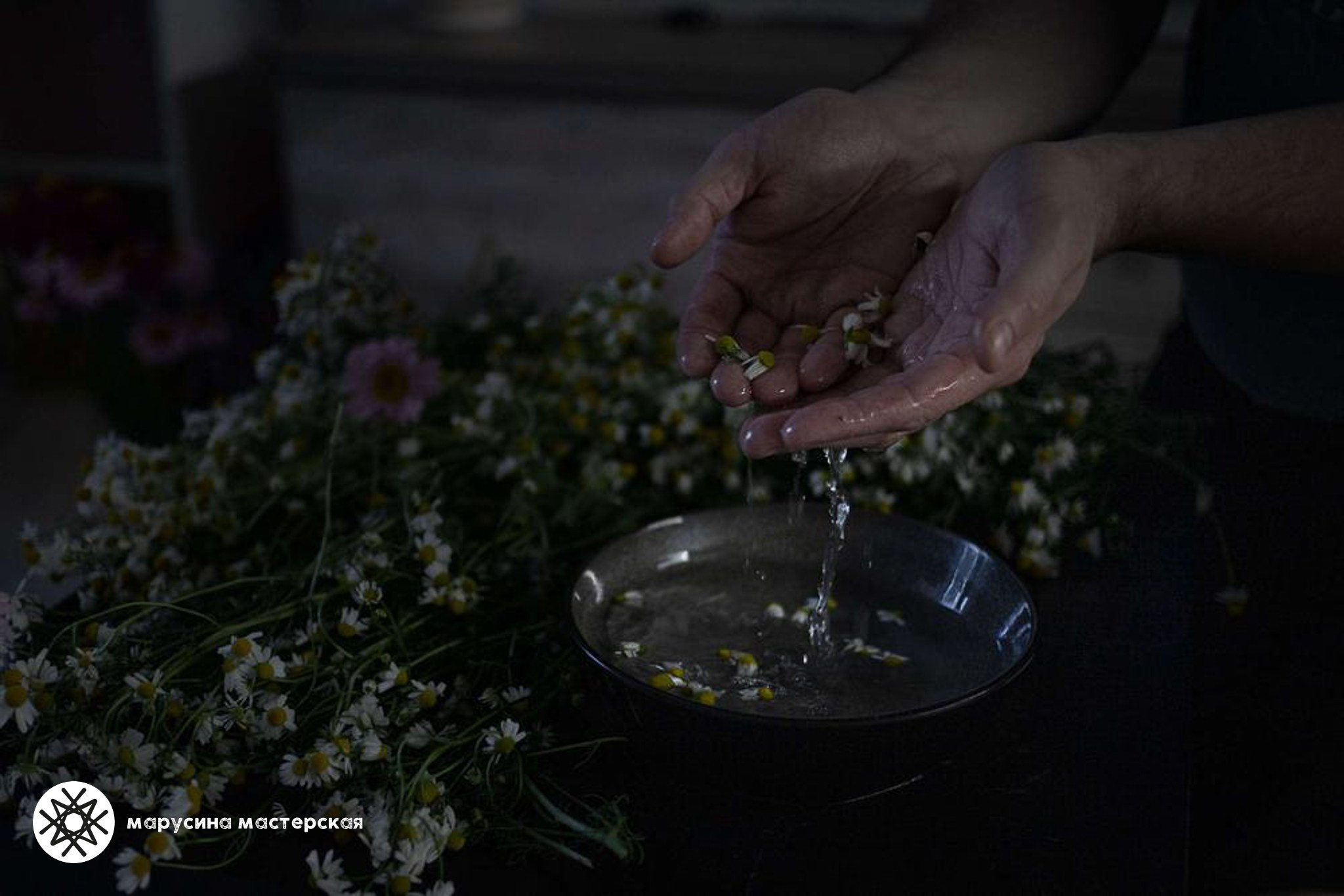 Учебная работа по построению кадра