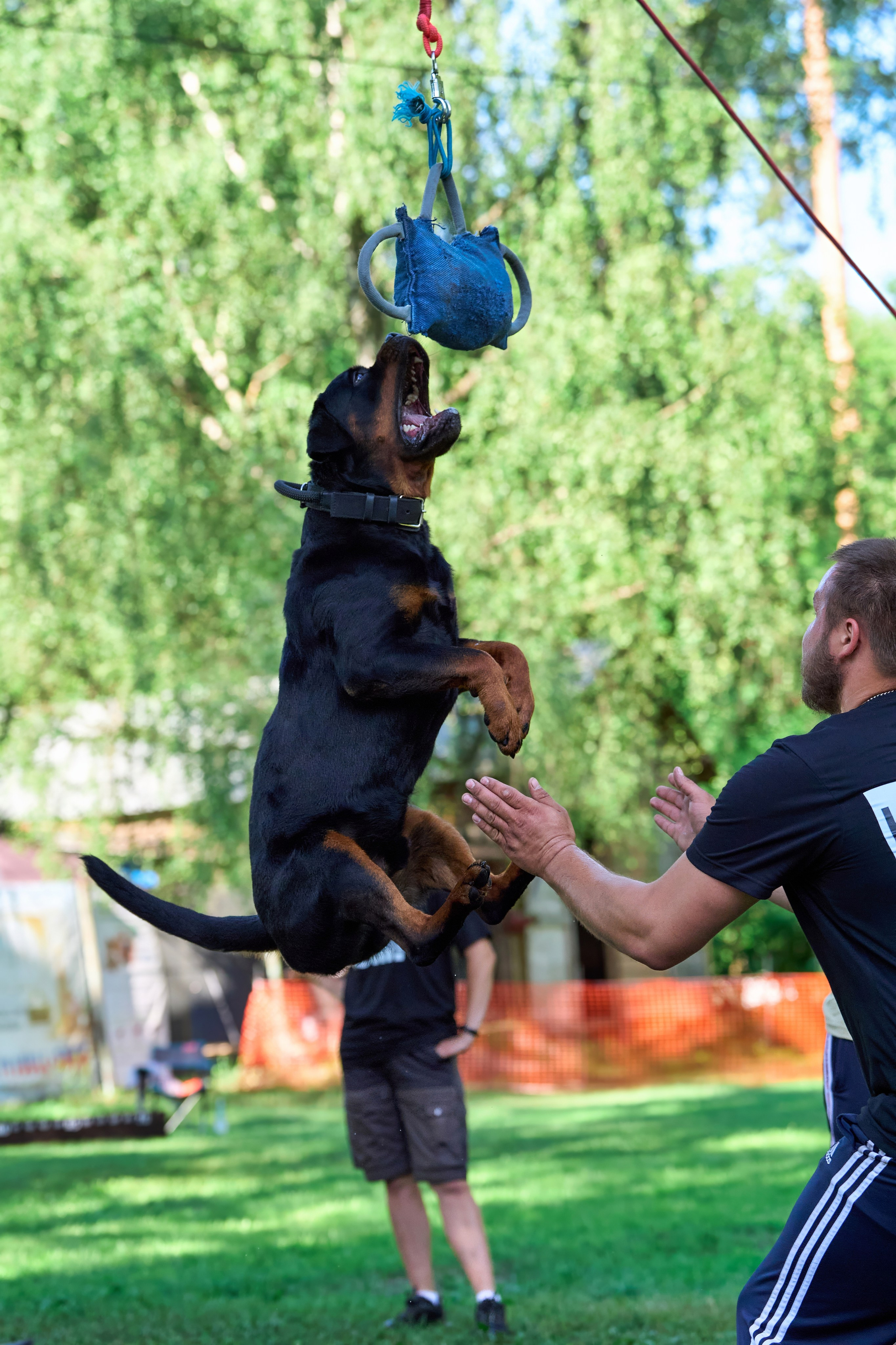Двухдневные соревнования «Jump'n'Gym Fest — 2024». Фотограф-анималист Михаил Манухин