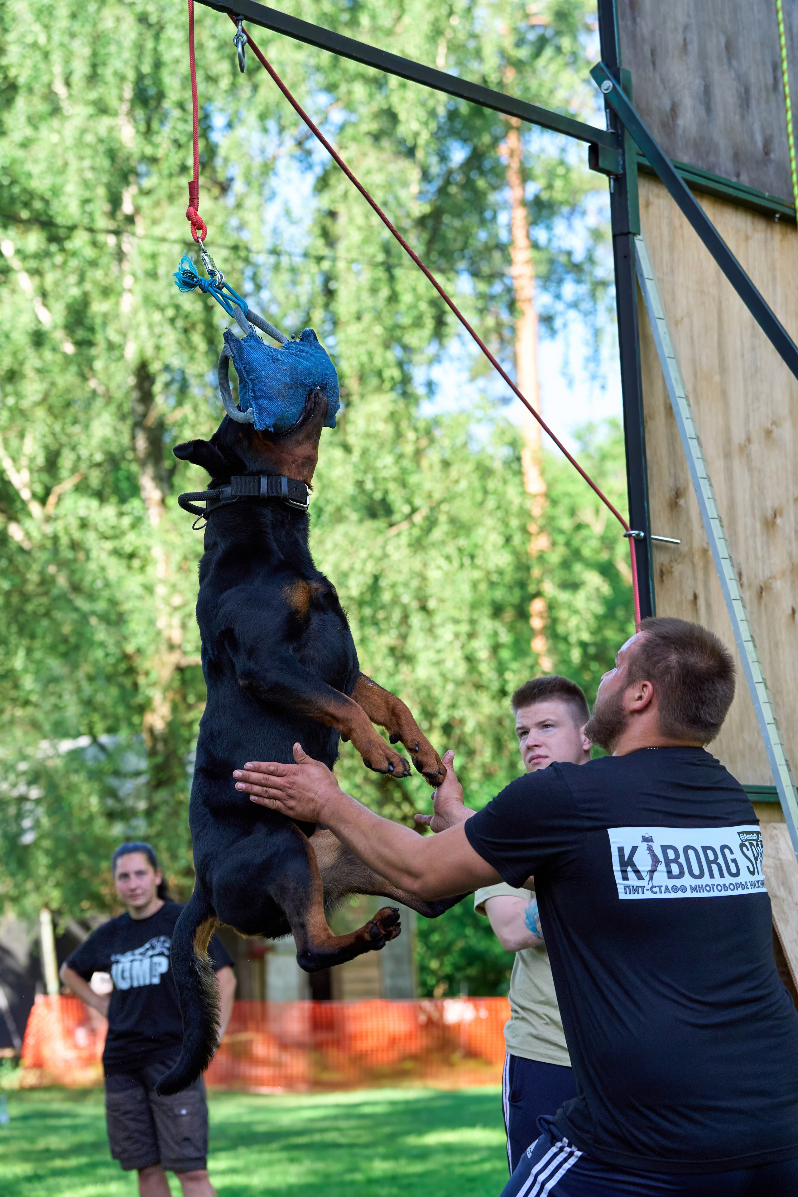 Двухдневные соревнования «Jump'n'Gym Fest — 2024». Фотограф-анималист Михаил Манухин