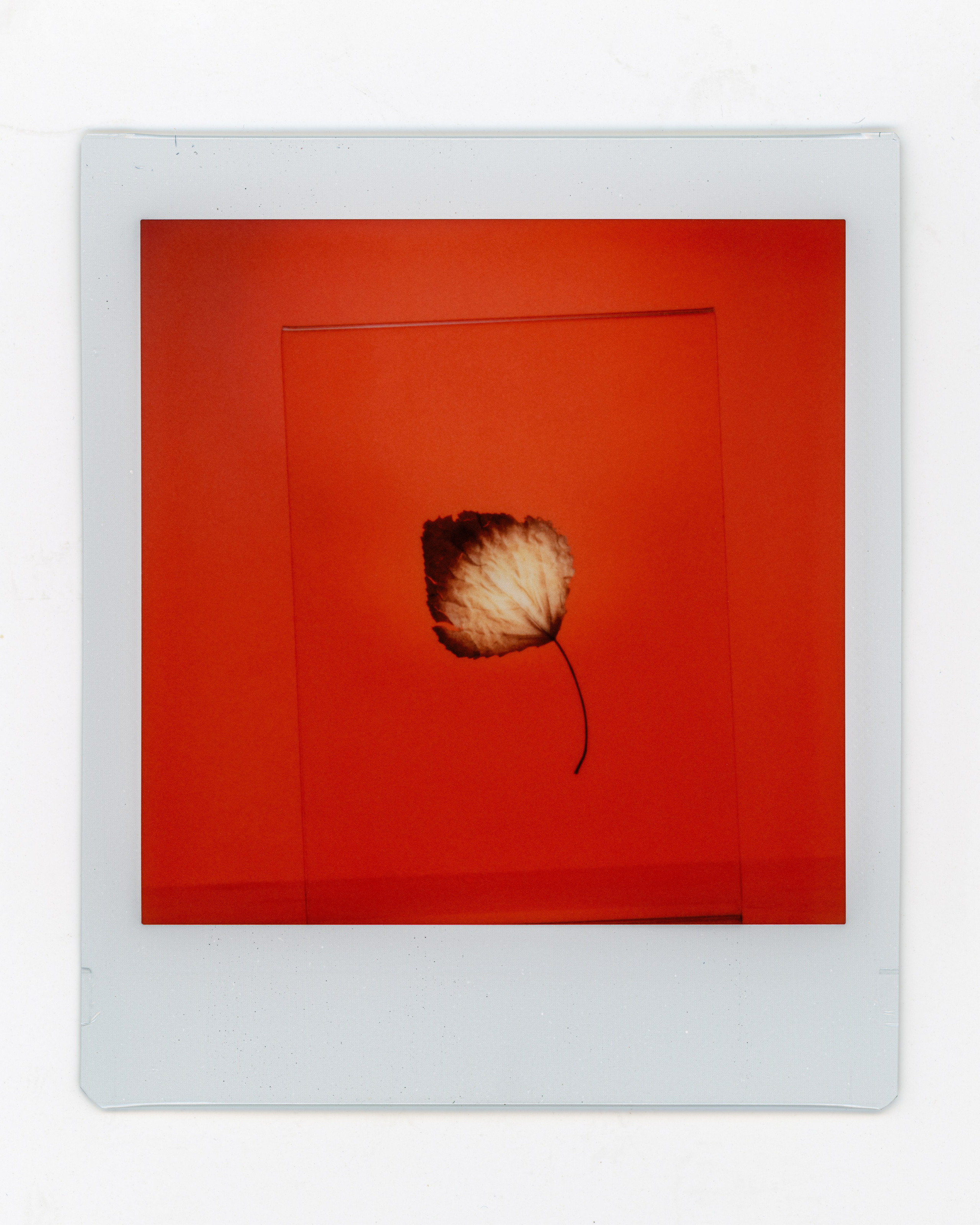 A64 — PORTFOLIO. Ivan Petrov photographer