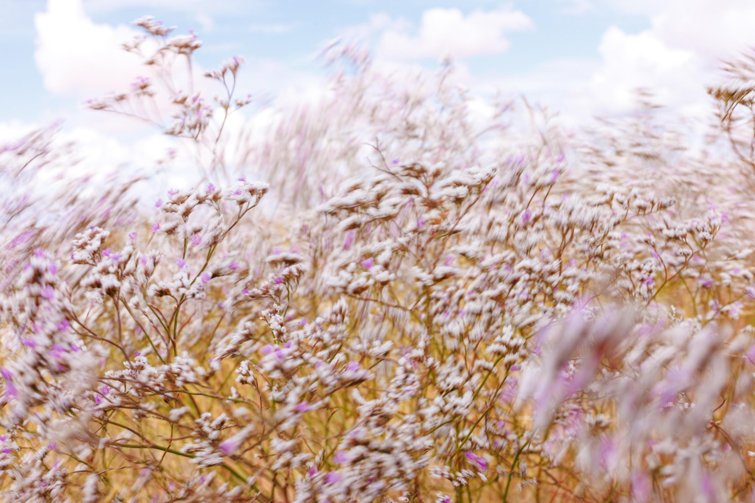 Фотограф в Москве Повеквечных Софья