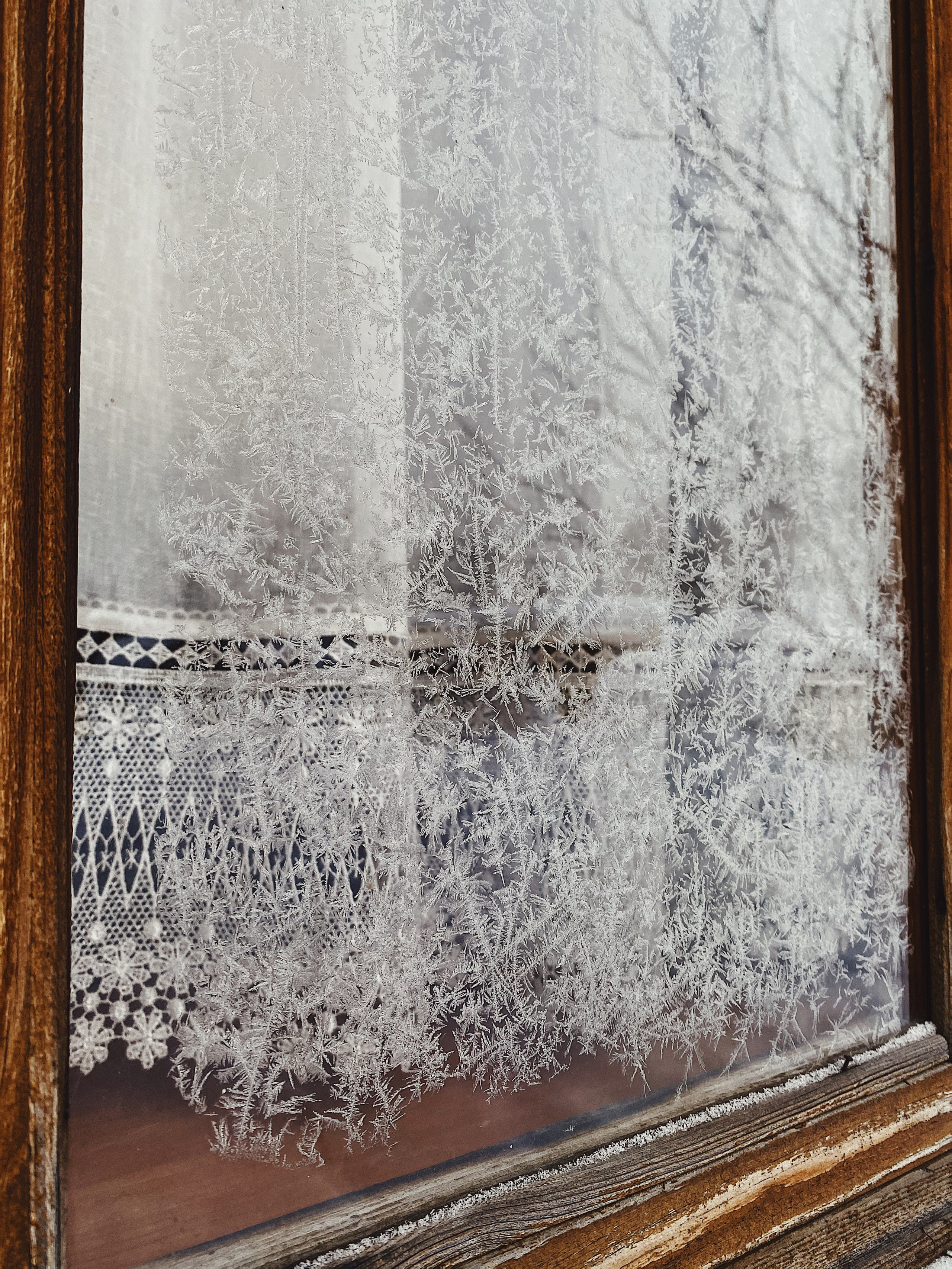 Анна Литвинова