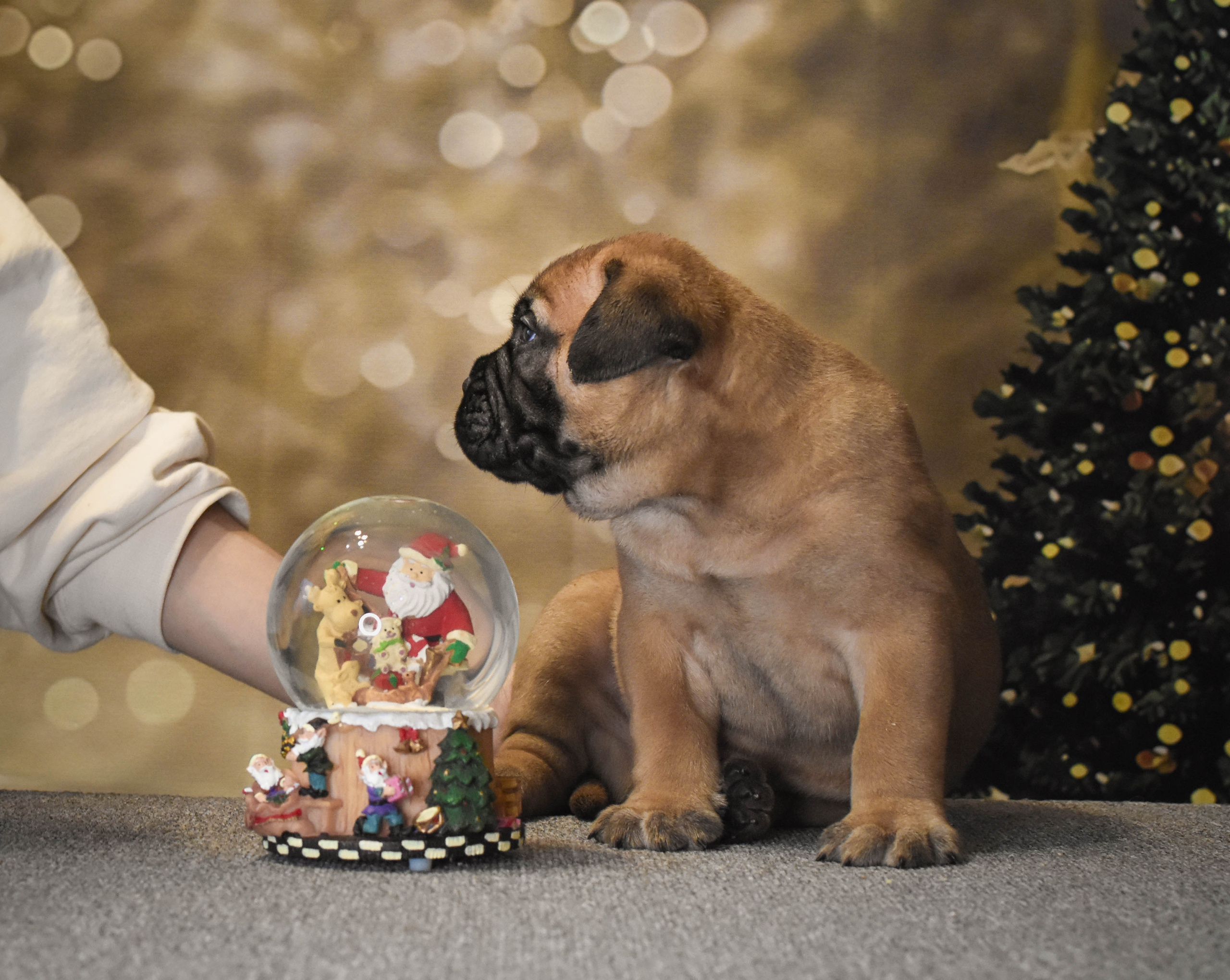 В созвучии с природой. Фотограф Светлана В. Пронина, Москва