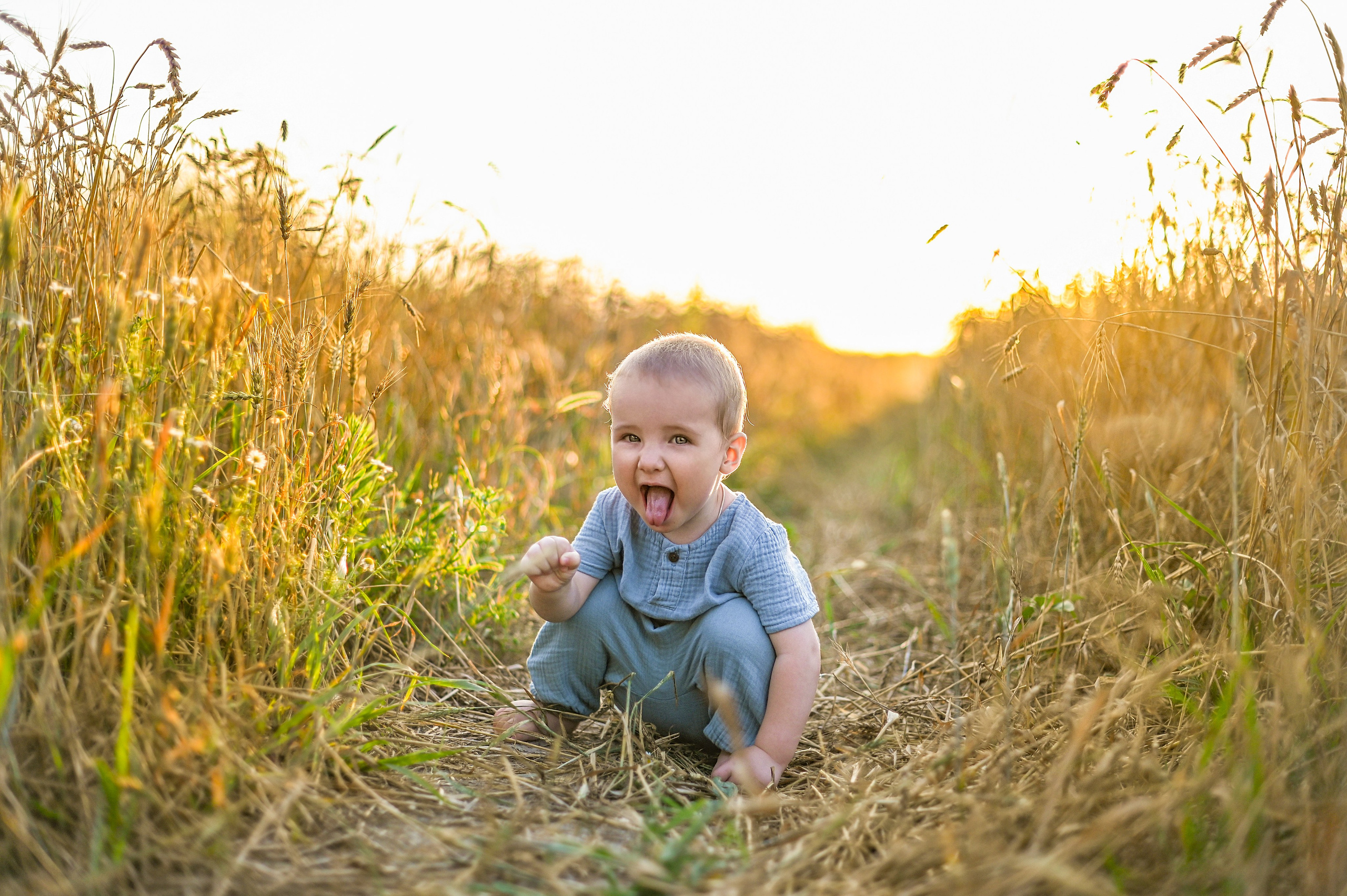 Пшеница. Детский и семейный фотограф г. Москва Оксана Катаджи