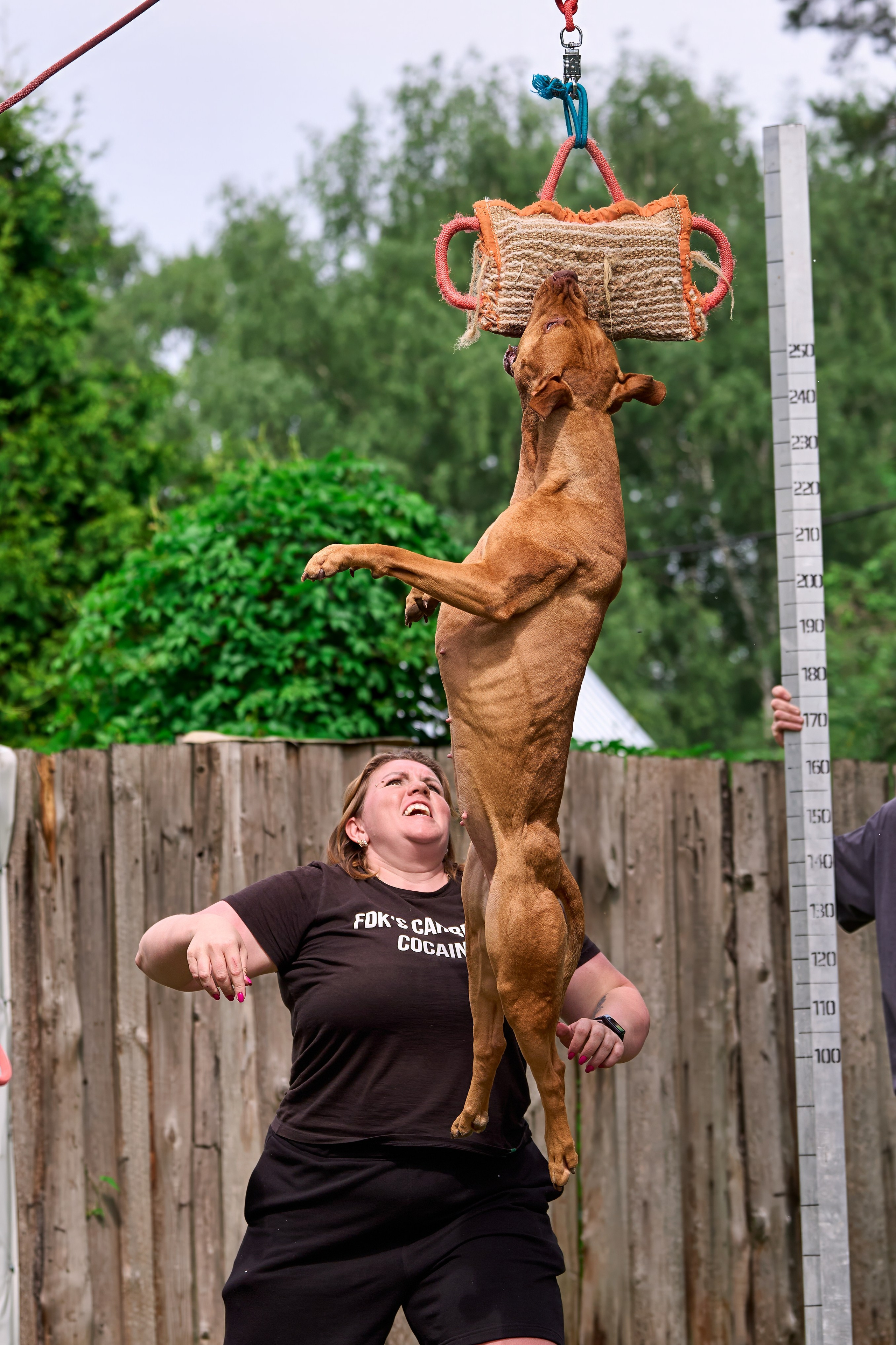 Двухдневные соревнования «Jump'n'Gym Fest — 2024». Фотограф-анималист Михаил Манухин