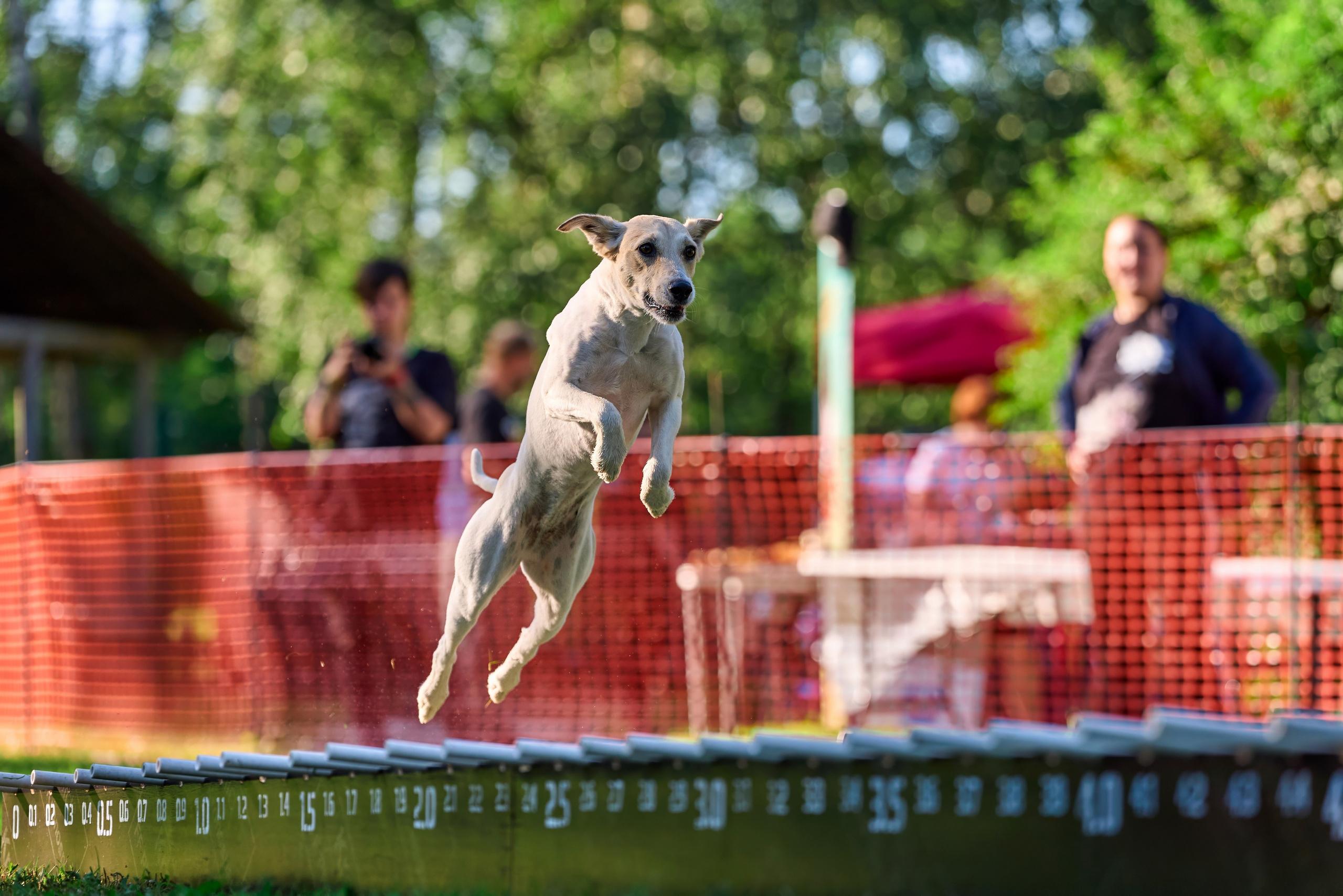 Jump'n'Gym JUMP! — 2024. Фотограф-анималист Михаил Манухин