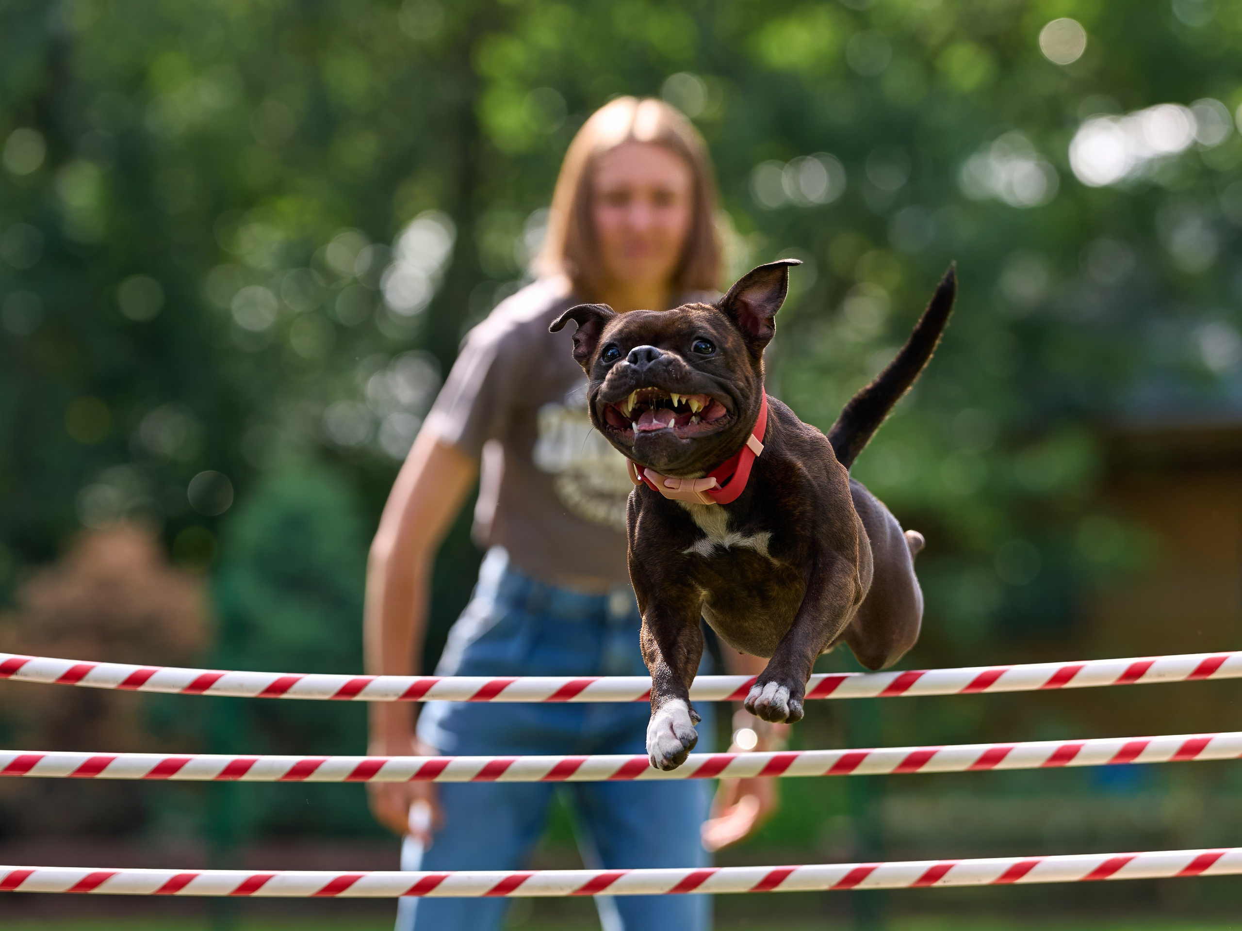 Jump'n'Gym JUMP! — 2024. Фотограф-анималист Михаил Манухин