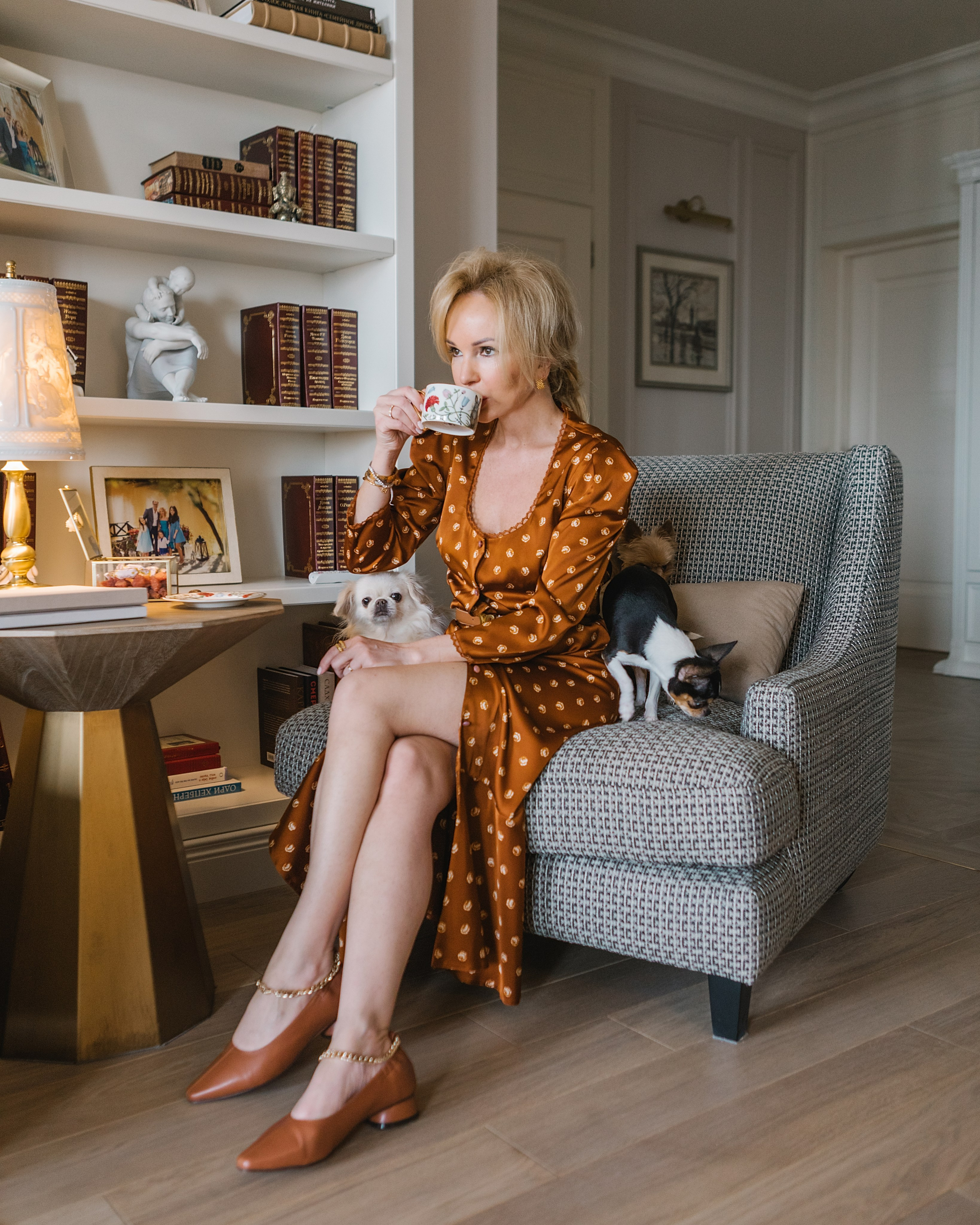 фотосессия с собакой, фото собаки