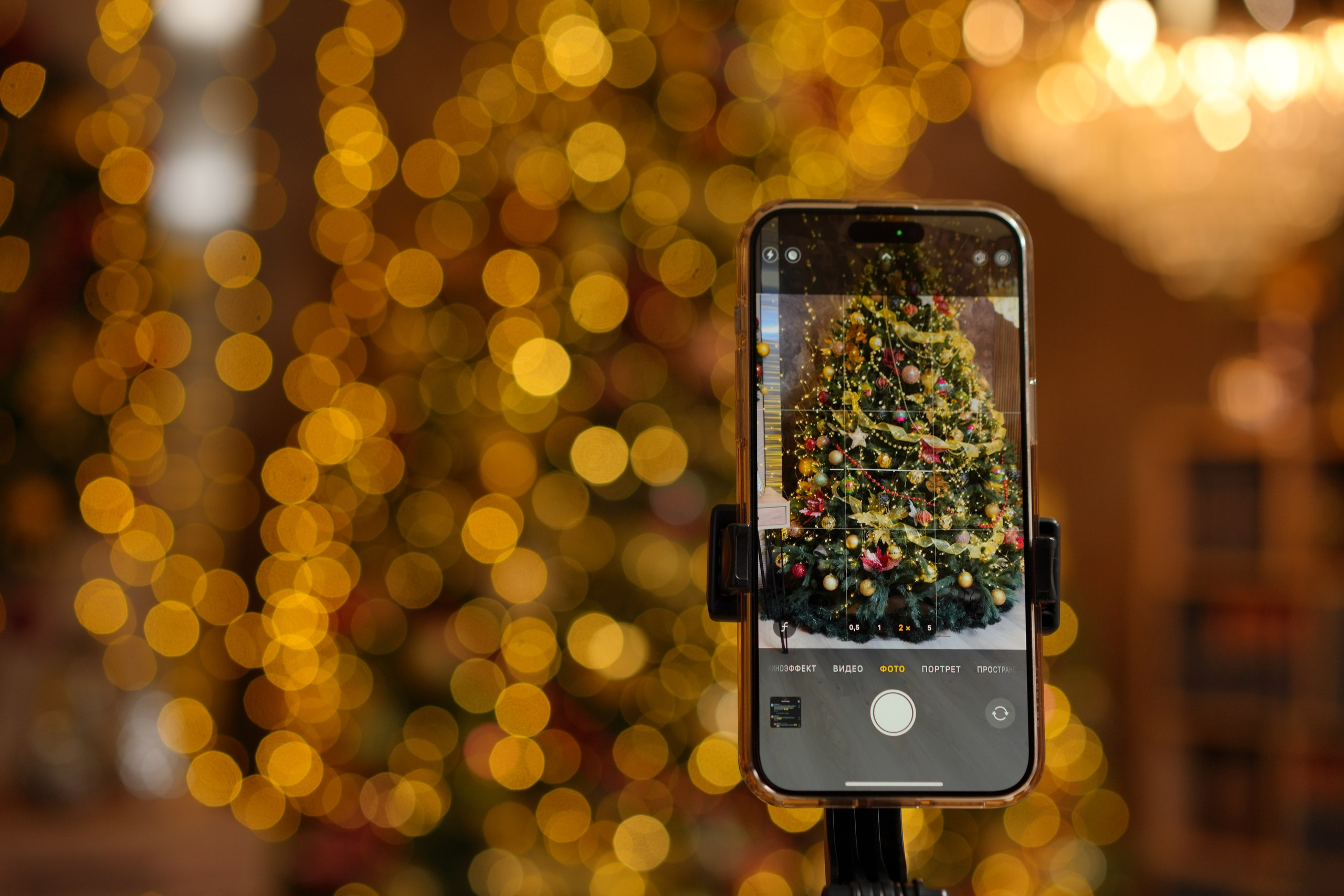 Новогодние фотосессии в студии Малина Арт. Сниму тебя красиво / Фотографы Денис и Мария