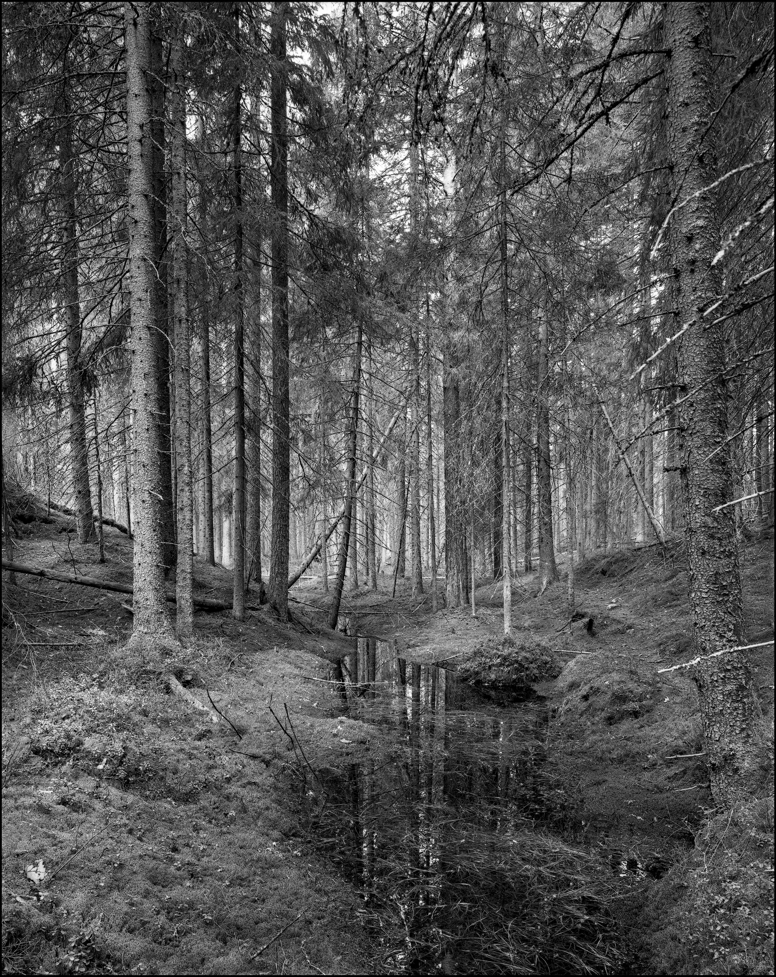 Карелия. Sergey Kondriuk art-photographer | artist