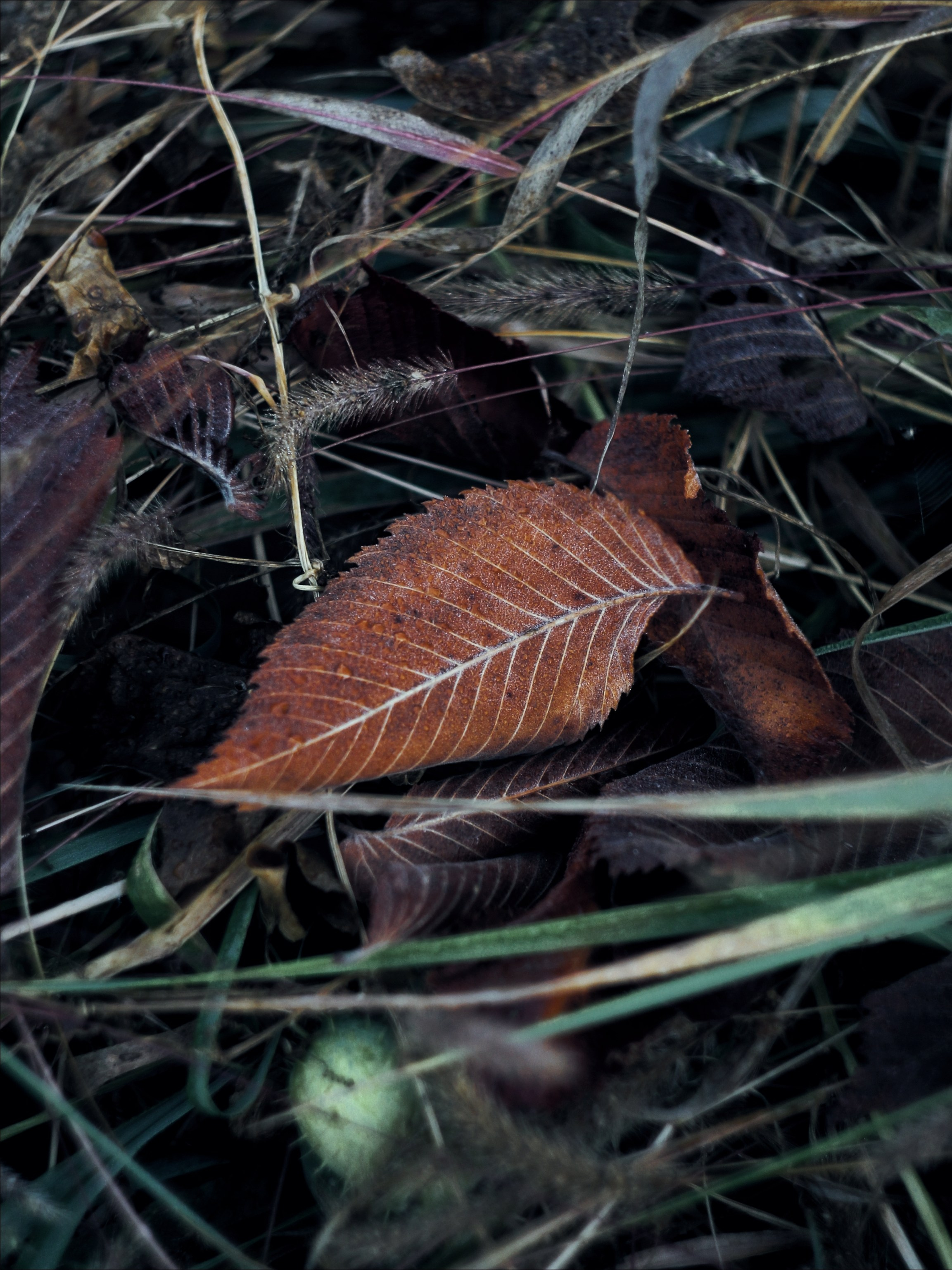 Опустошенность. С любовью, фотохудожник