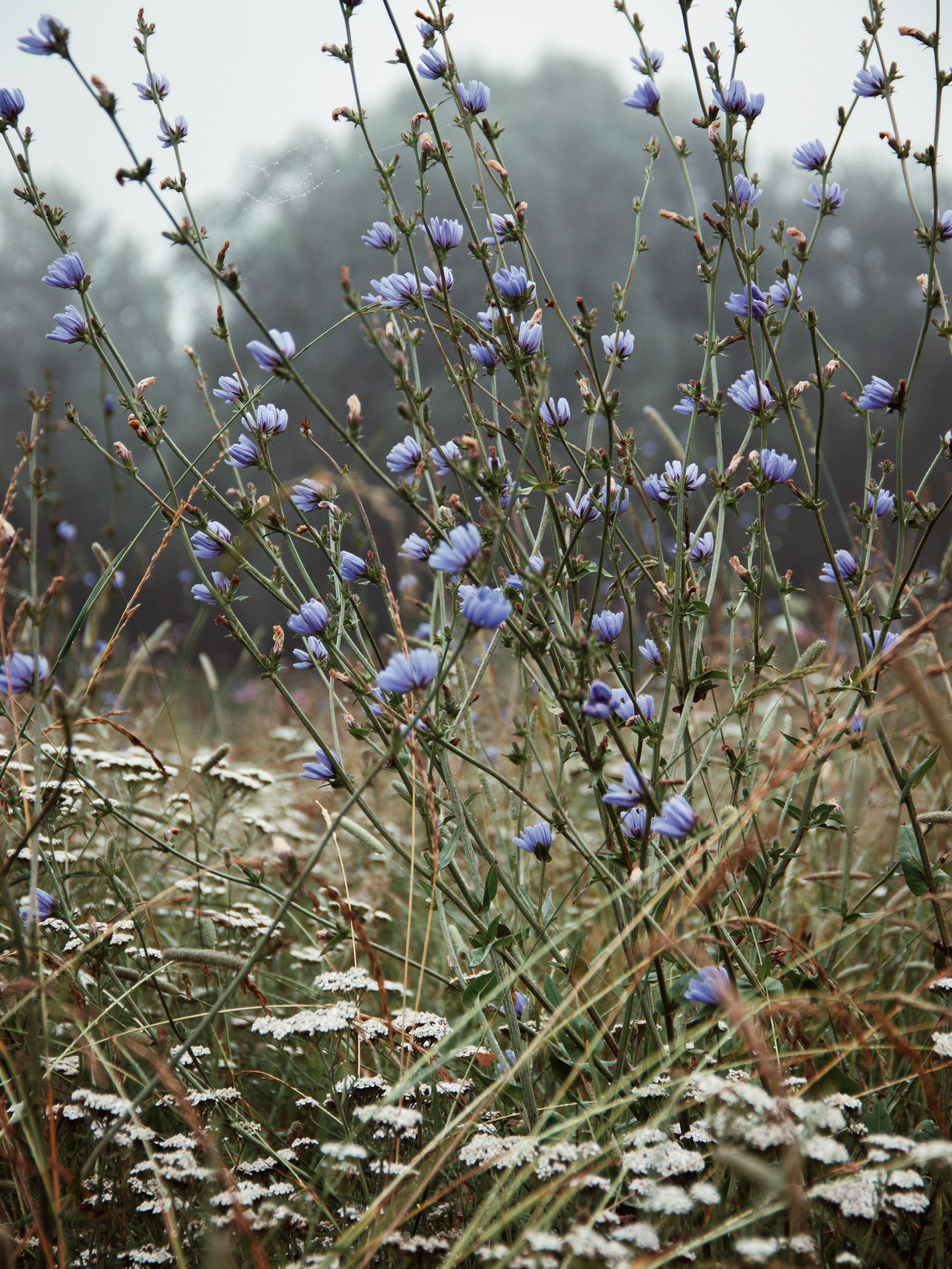 Застывшая утренняя тишина. С любовью, фотохудожник