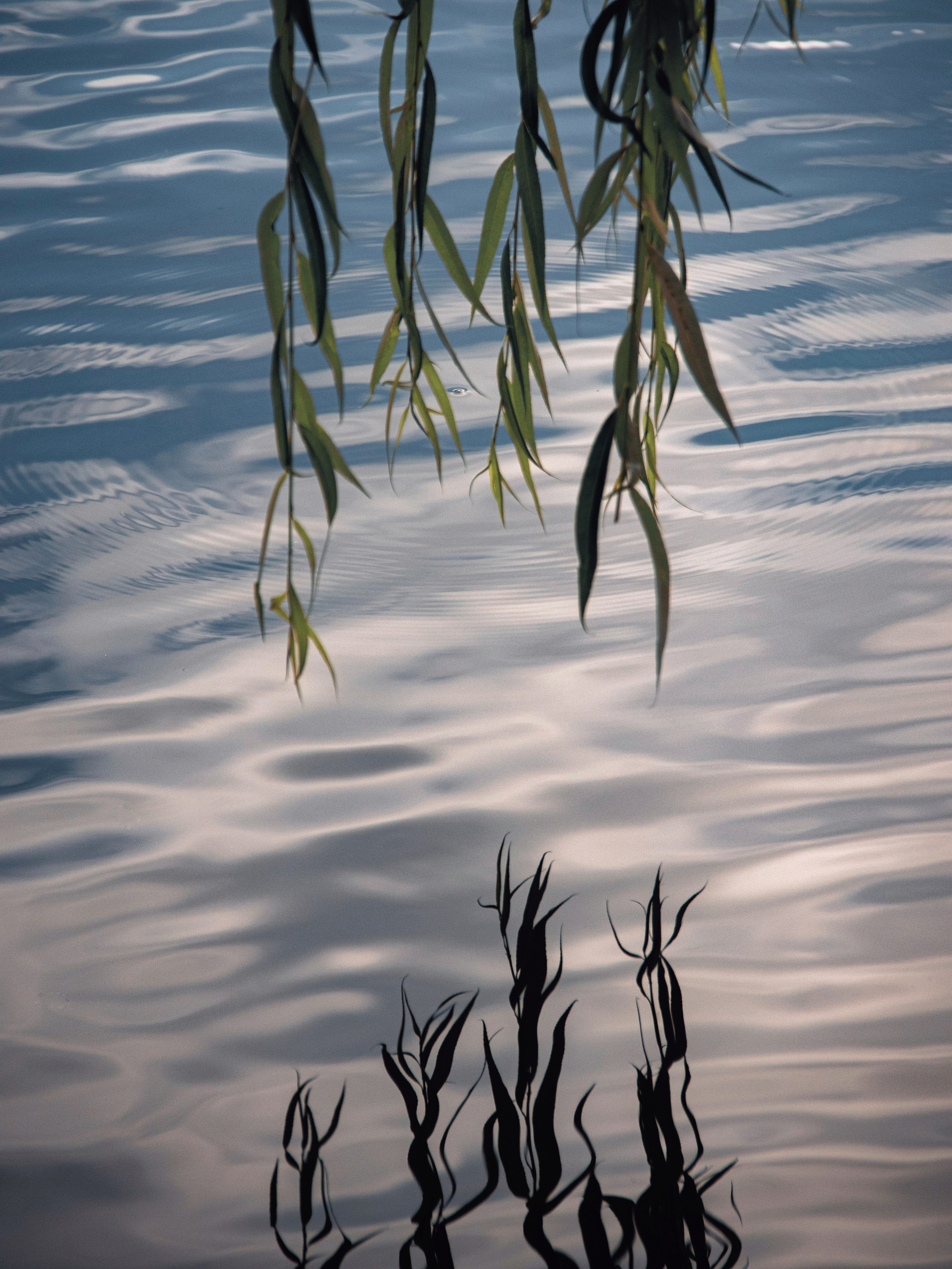Танец света и воды. С любовью, фотохудожник