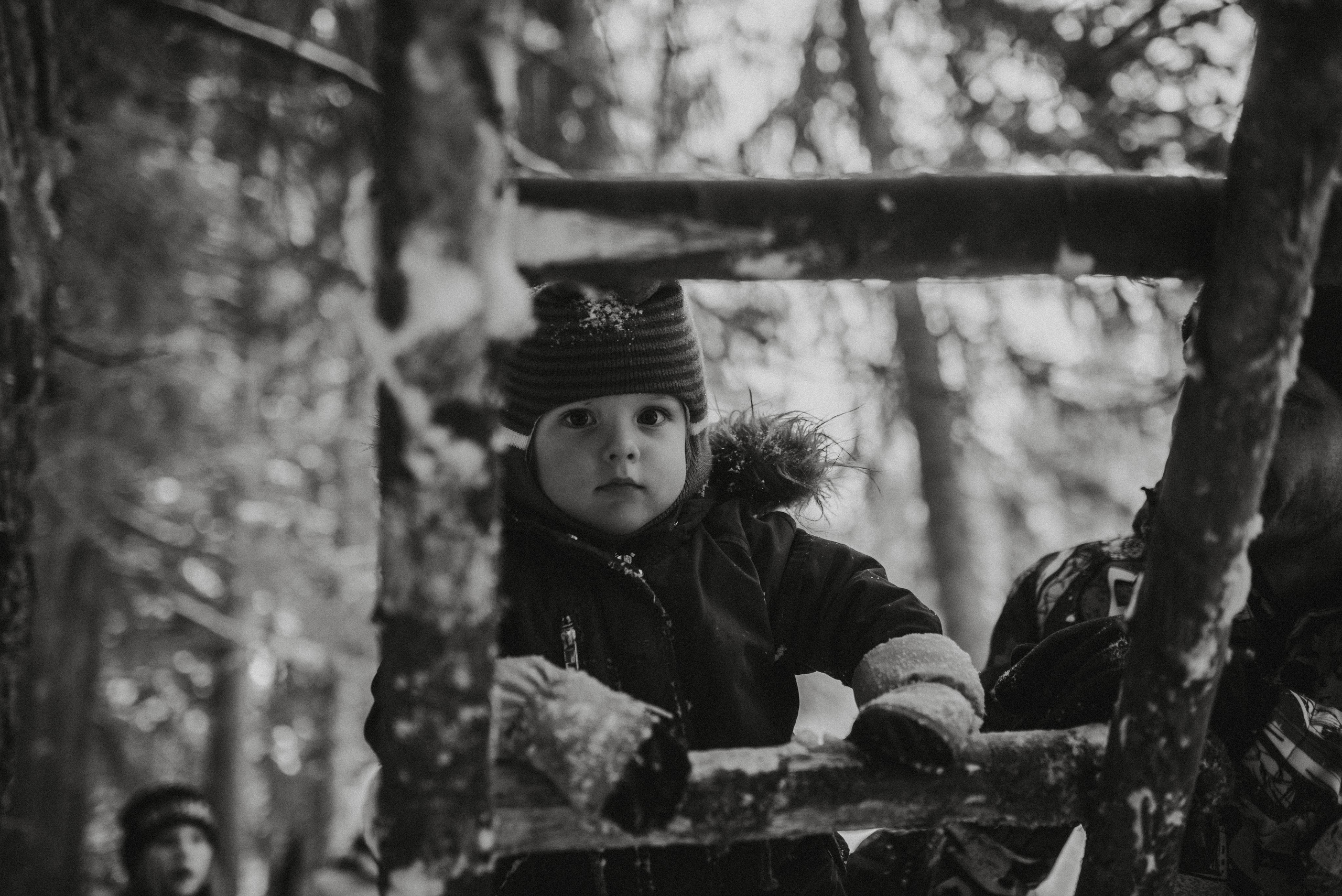 Кабы не было зимы. Главная