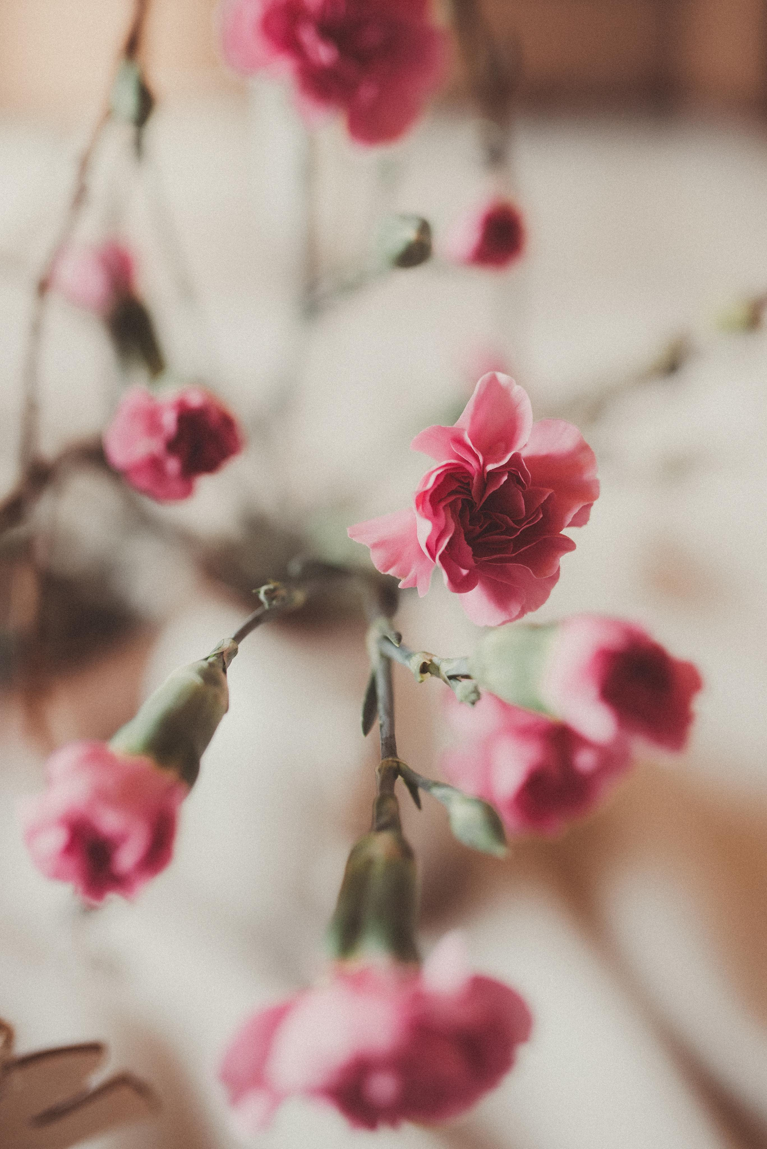 Пасха. Главная