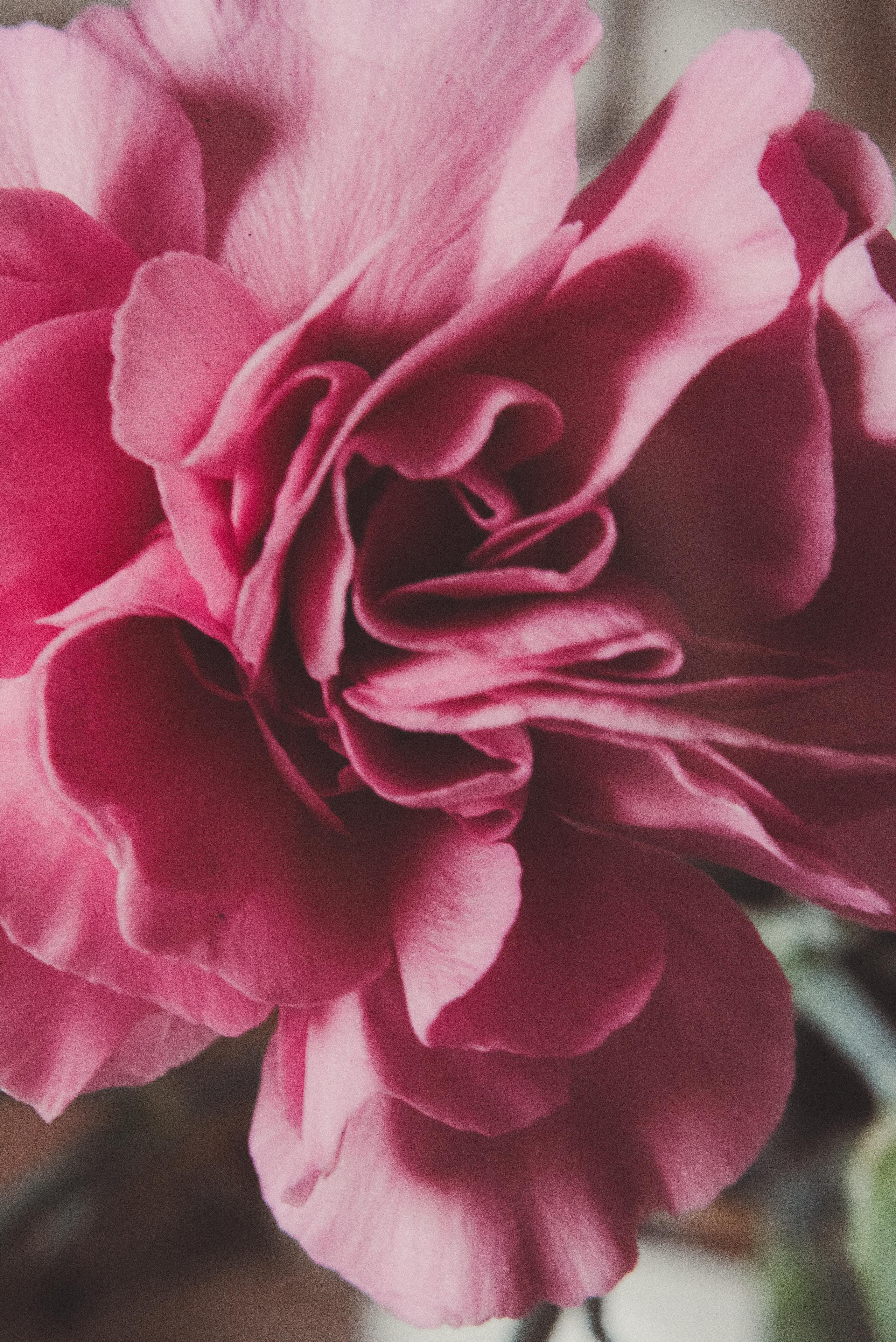 Пасха. Главная