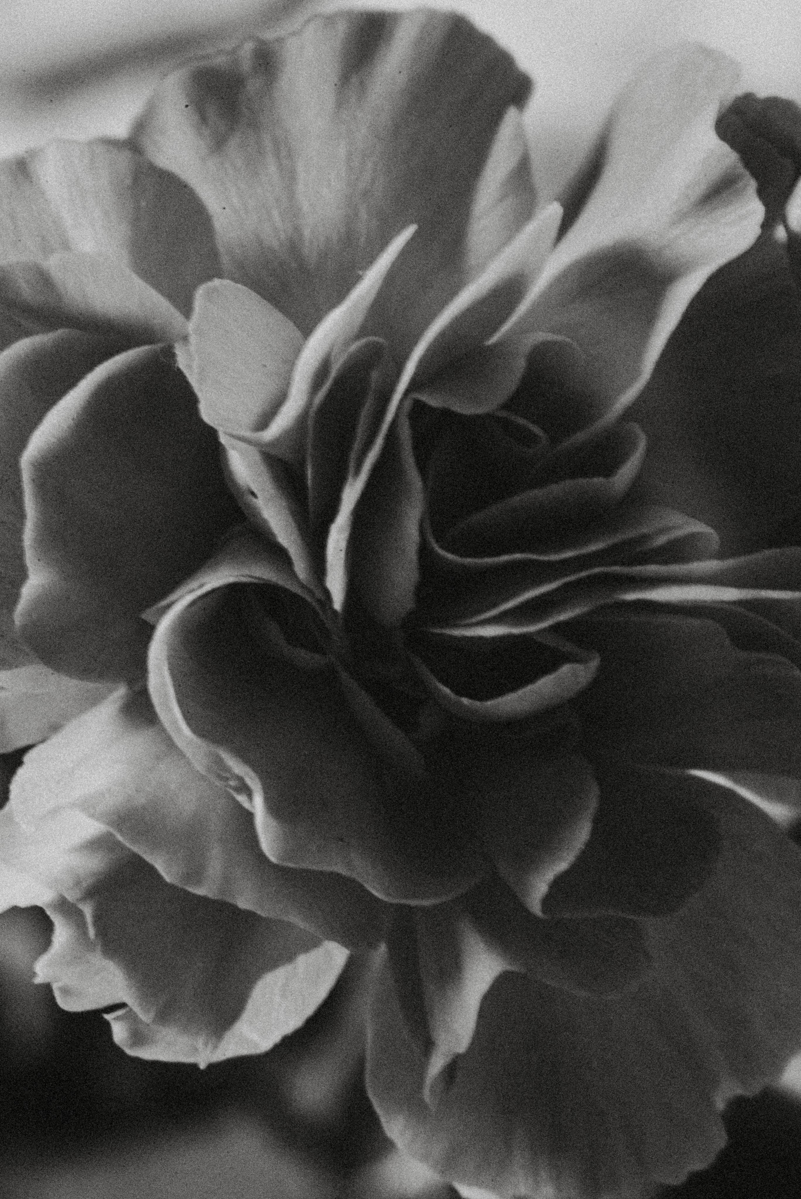 Пасха. Главная