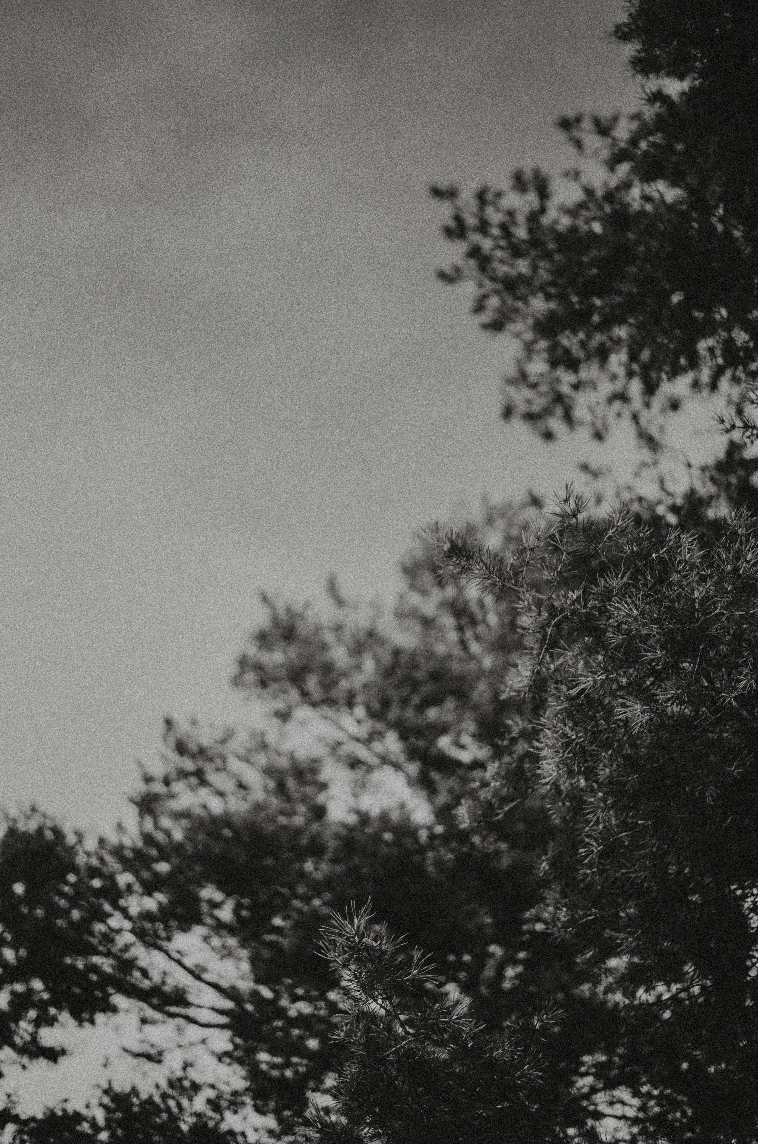 Кабы не было зимы. Главная