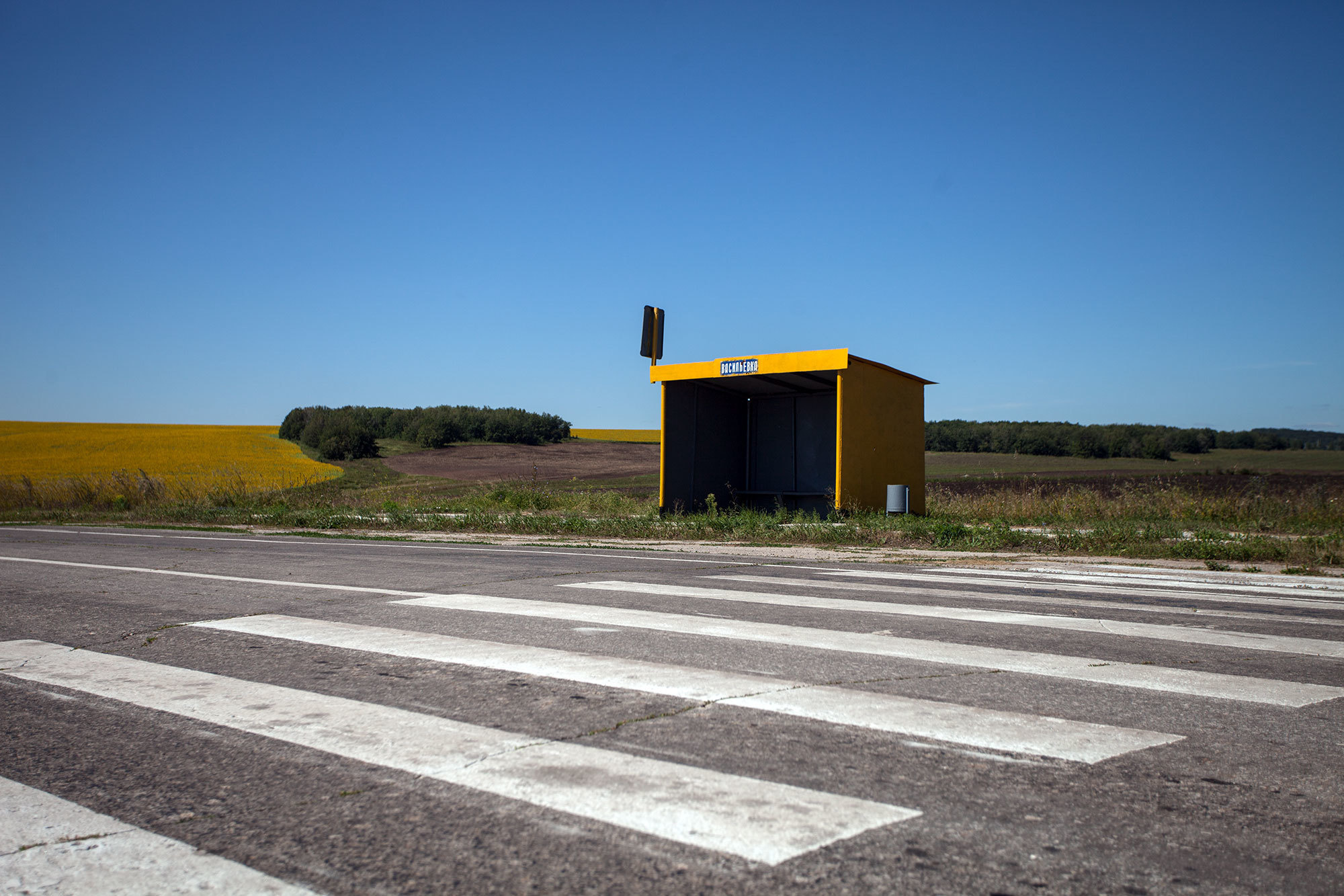 Мордовская песня. Фотограф Усольцева Ольга