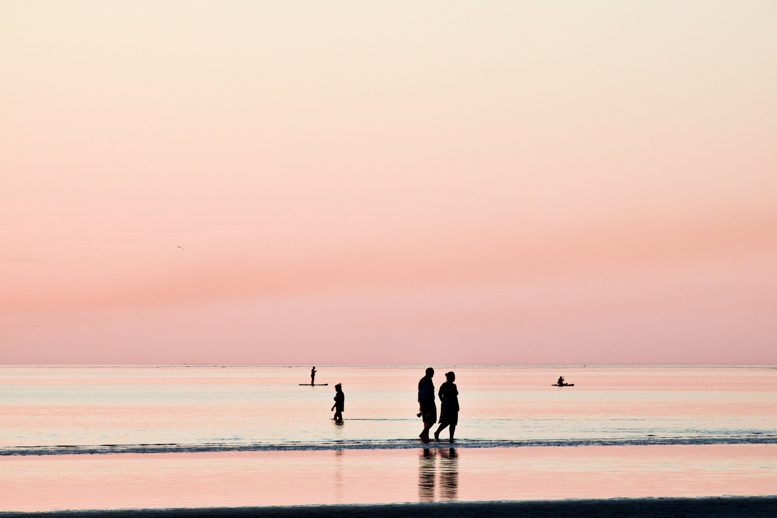 Архангельская область, Двинская губа. Фотограф в Москве Максим Скоробогатов
