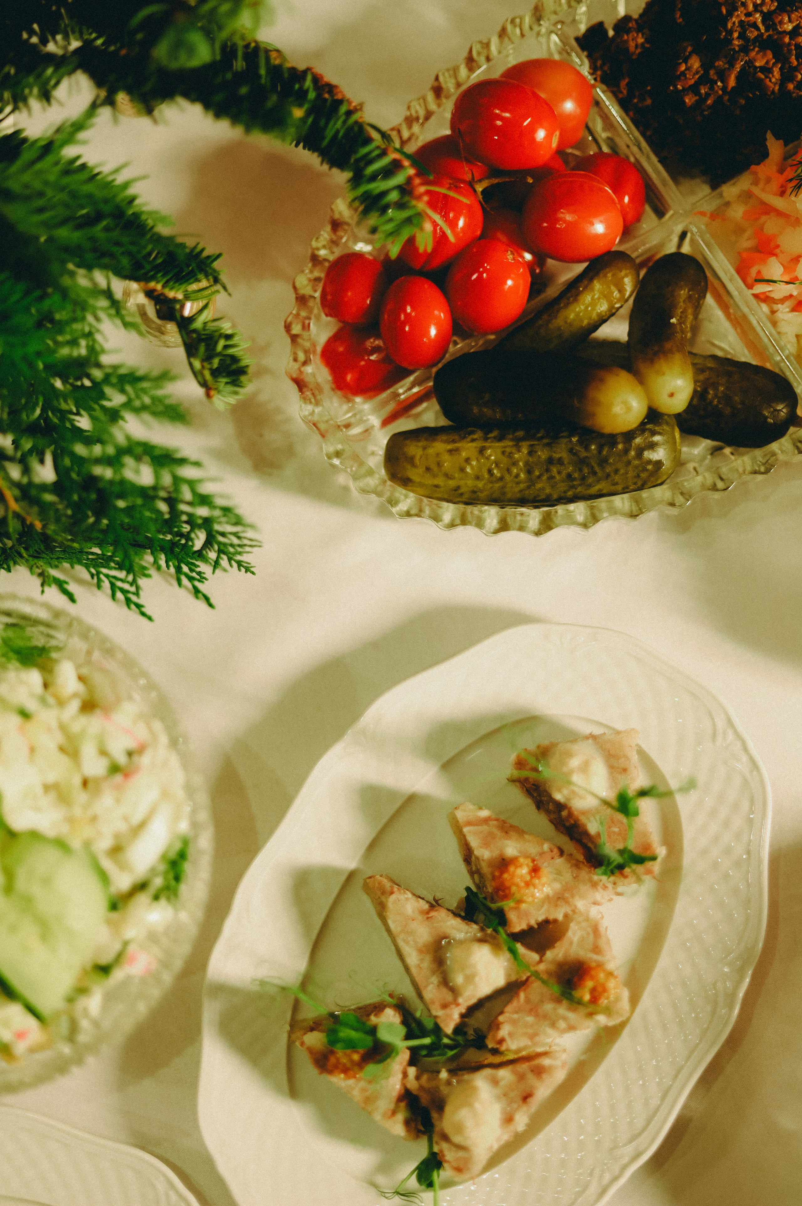 FOOD. Sun Betty — кинофотограф Элизабет