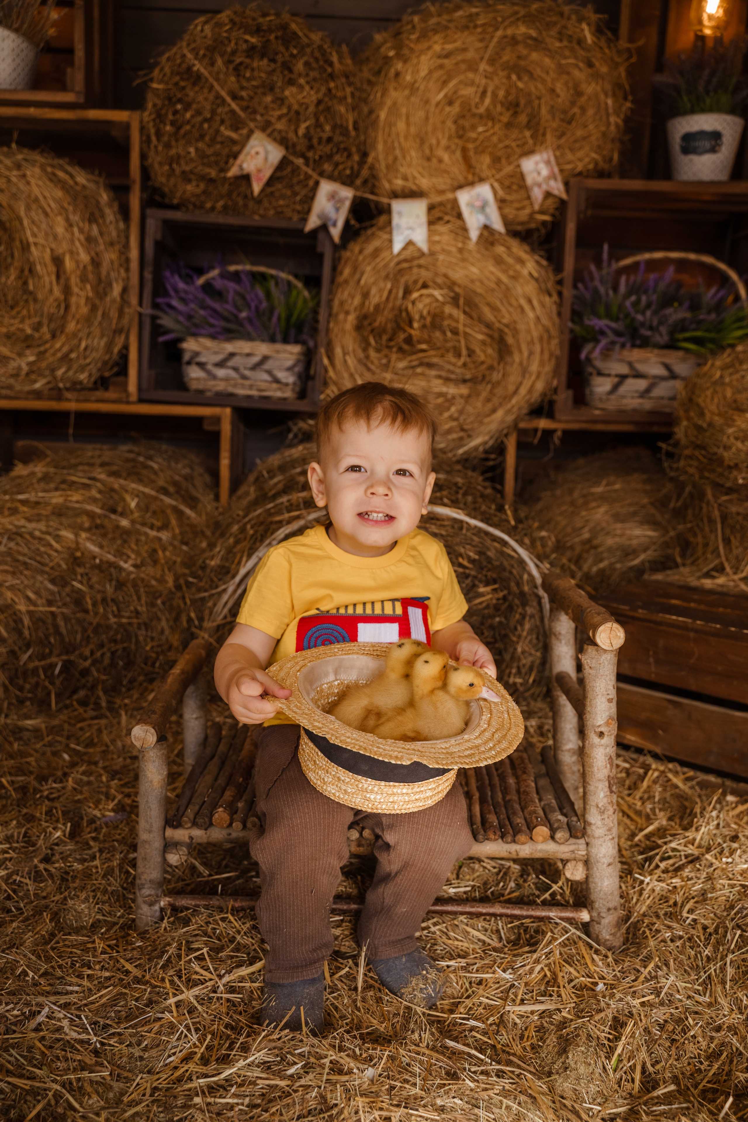 Фотосессия с утятами в студии
