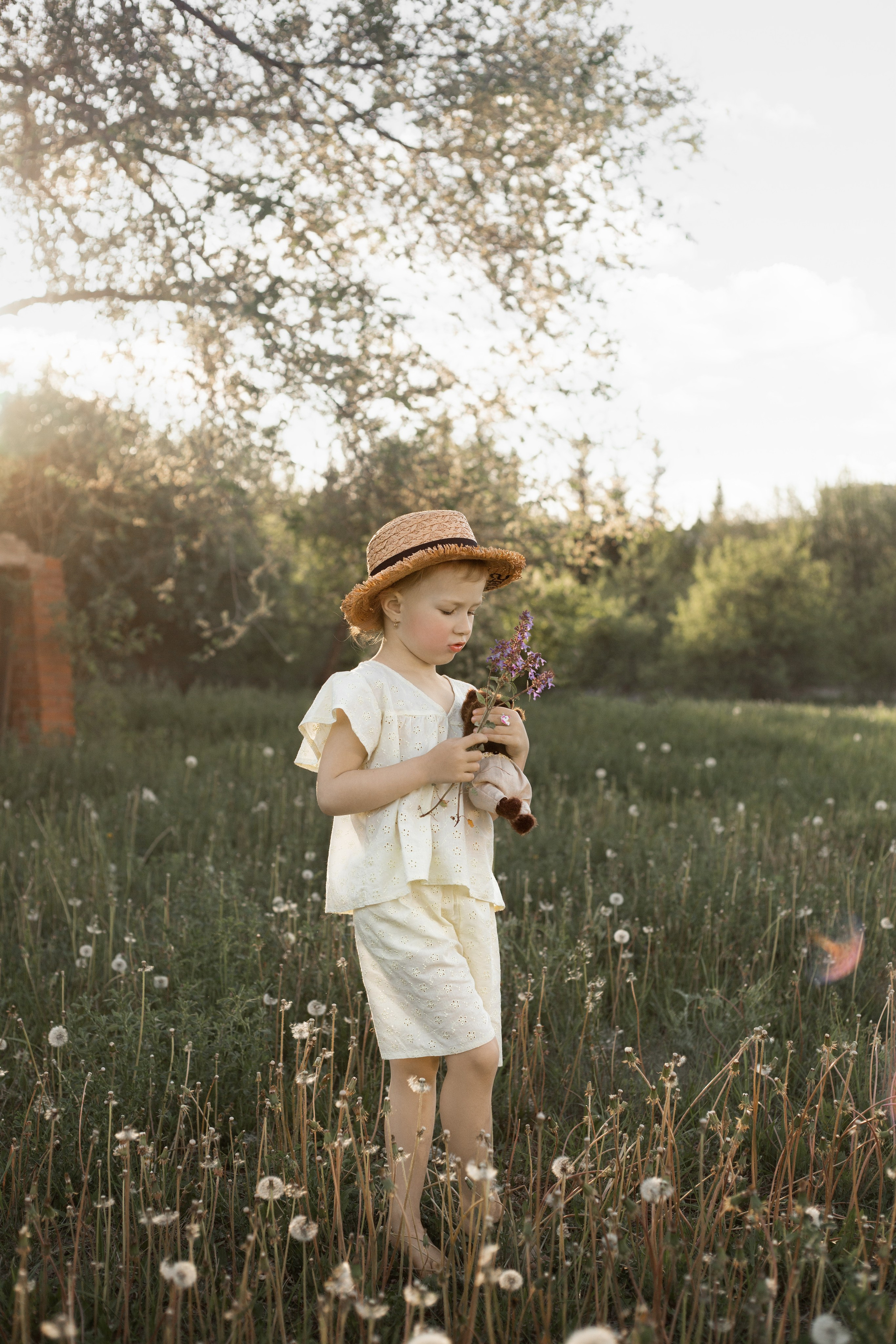 Одуванчики. Фотограф в Новосибирске Краснова Евгения