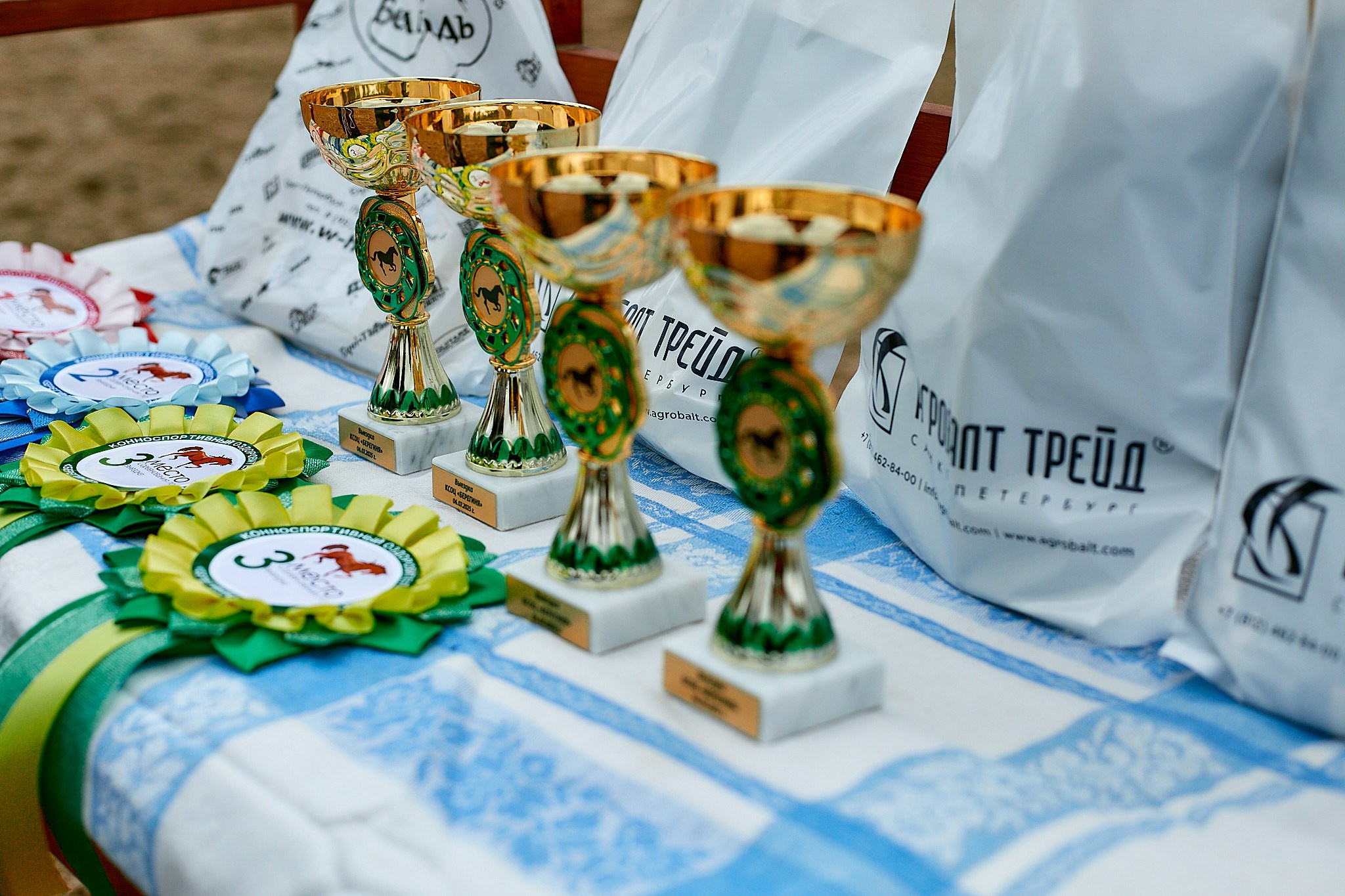 Выездка в «Берегине»