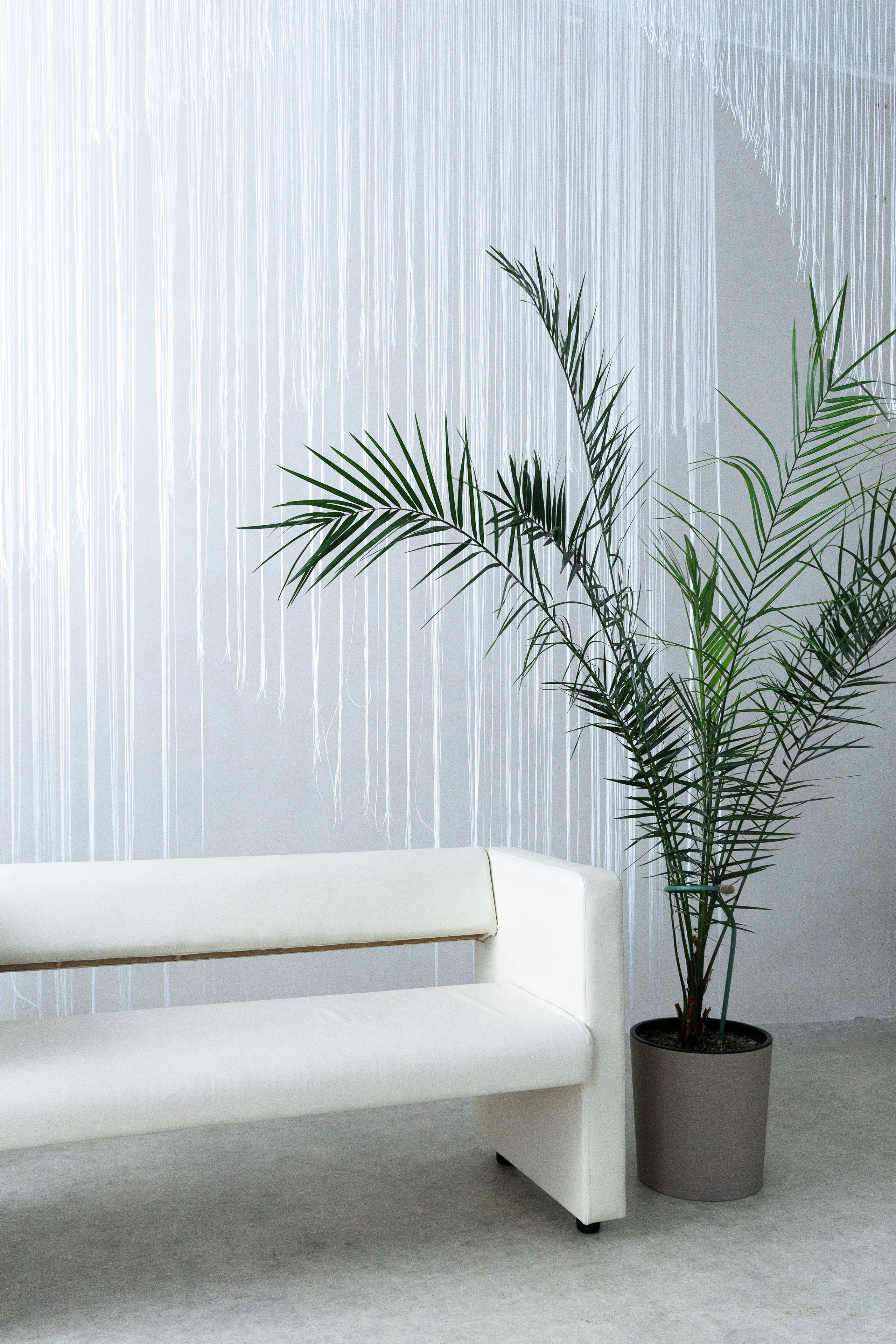 Фотомастерская. Студия событий «ШУМ» Междуреченск