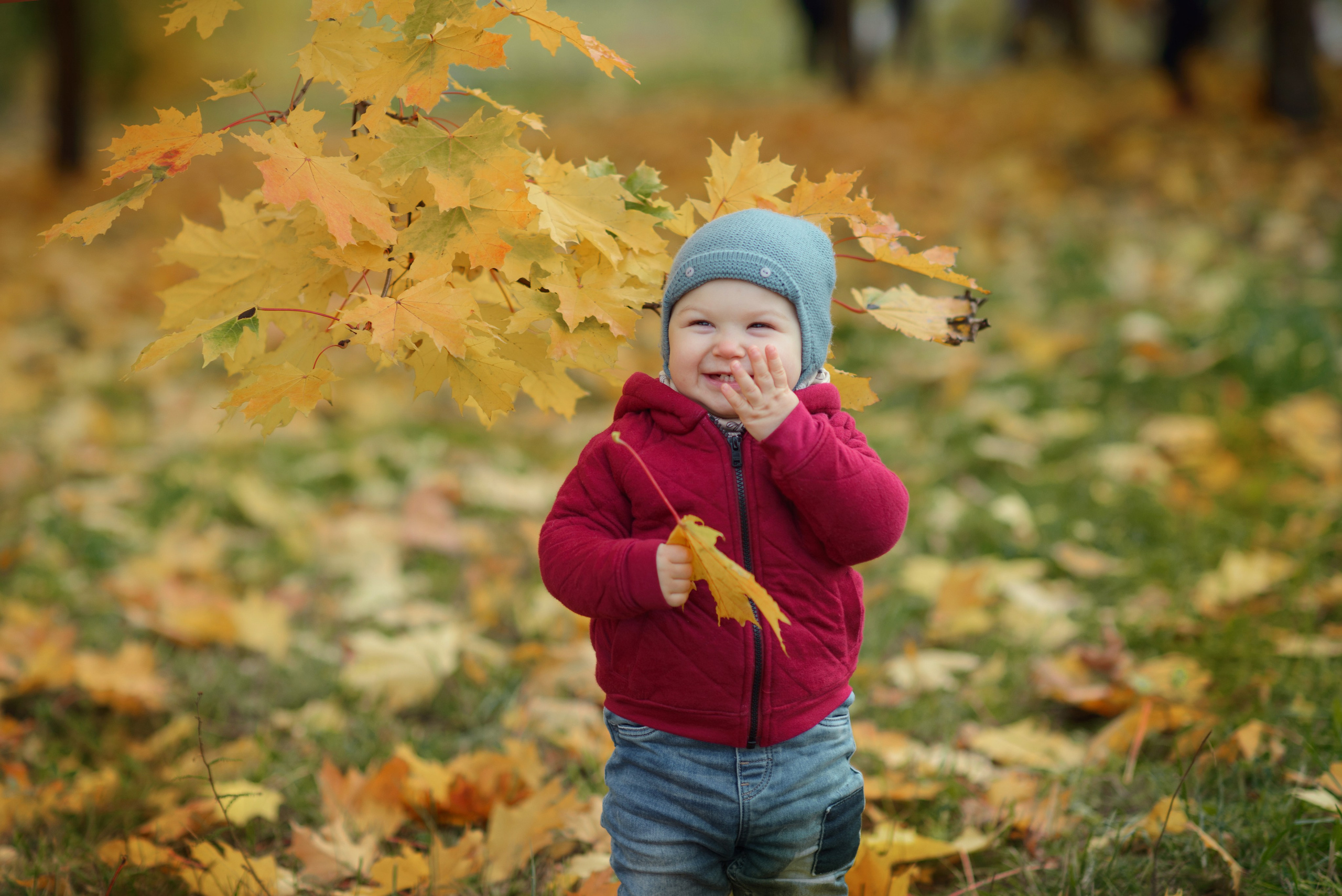 Photo shoot of a little child in autumn. Photos with yellow leaves
