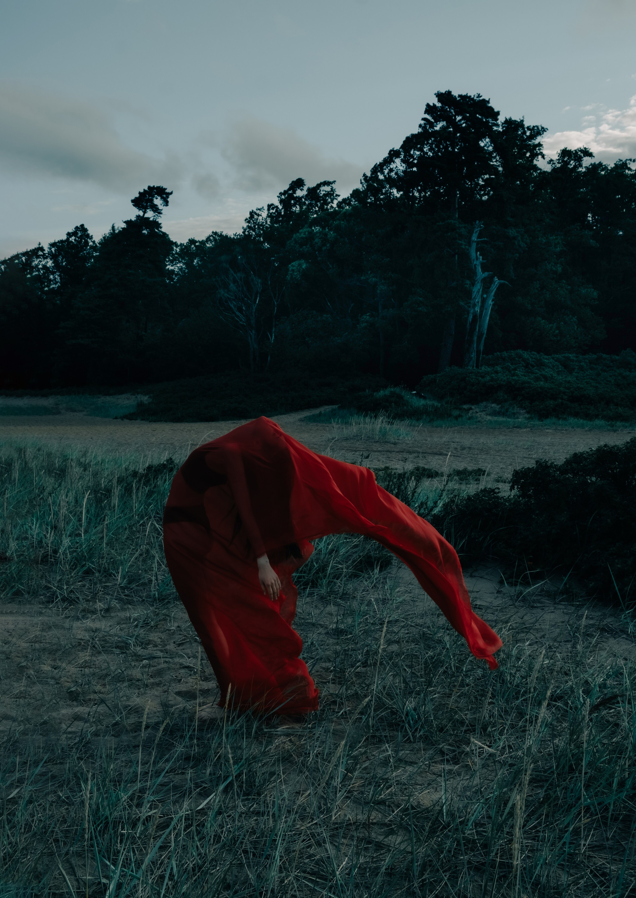 Сертификаты. Портретный и fashion-фотограф в Санкт-Петербурге Олеся Поле