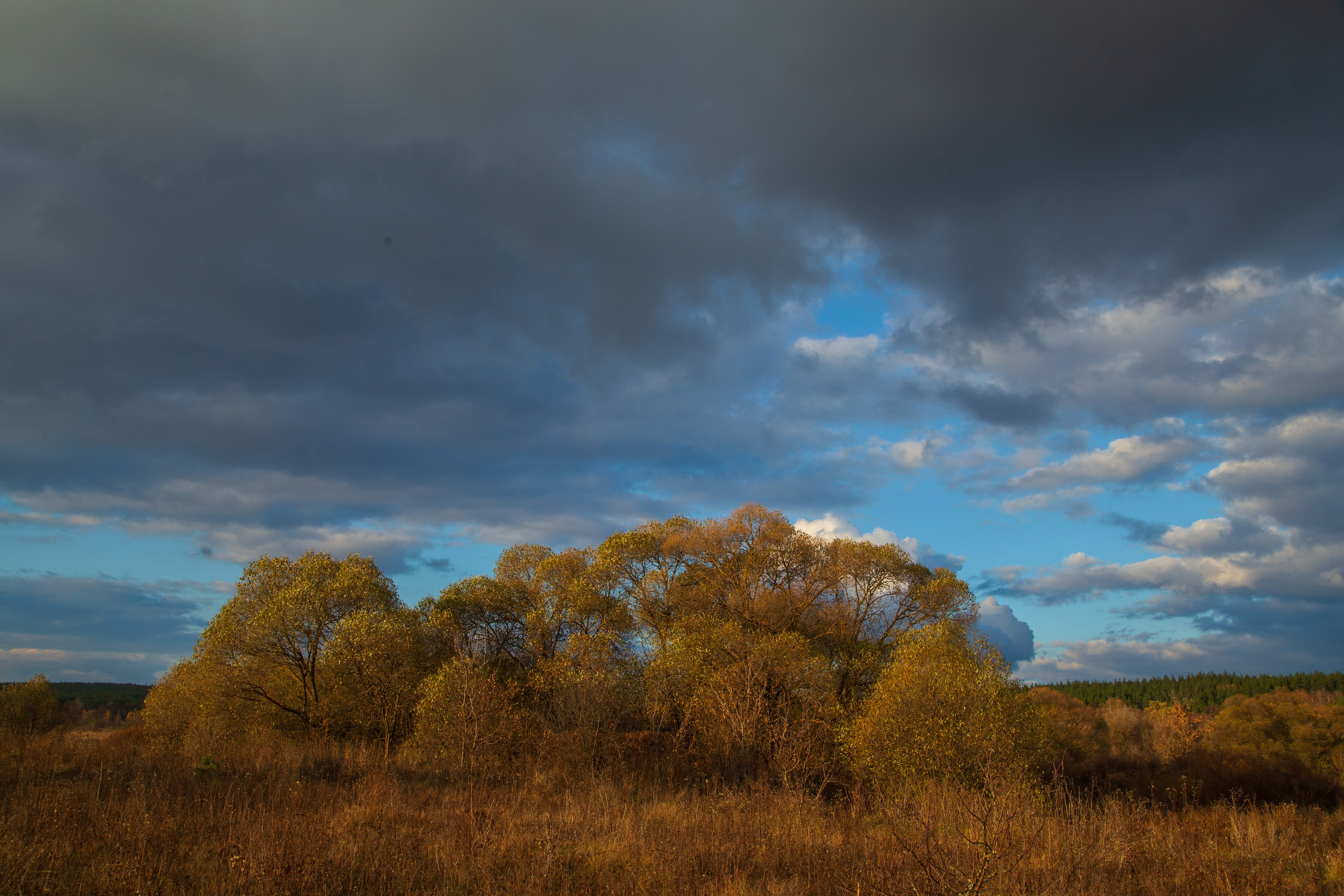 ТВОРЧЕСТВО. Творческая студия АЛНИфото