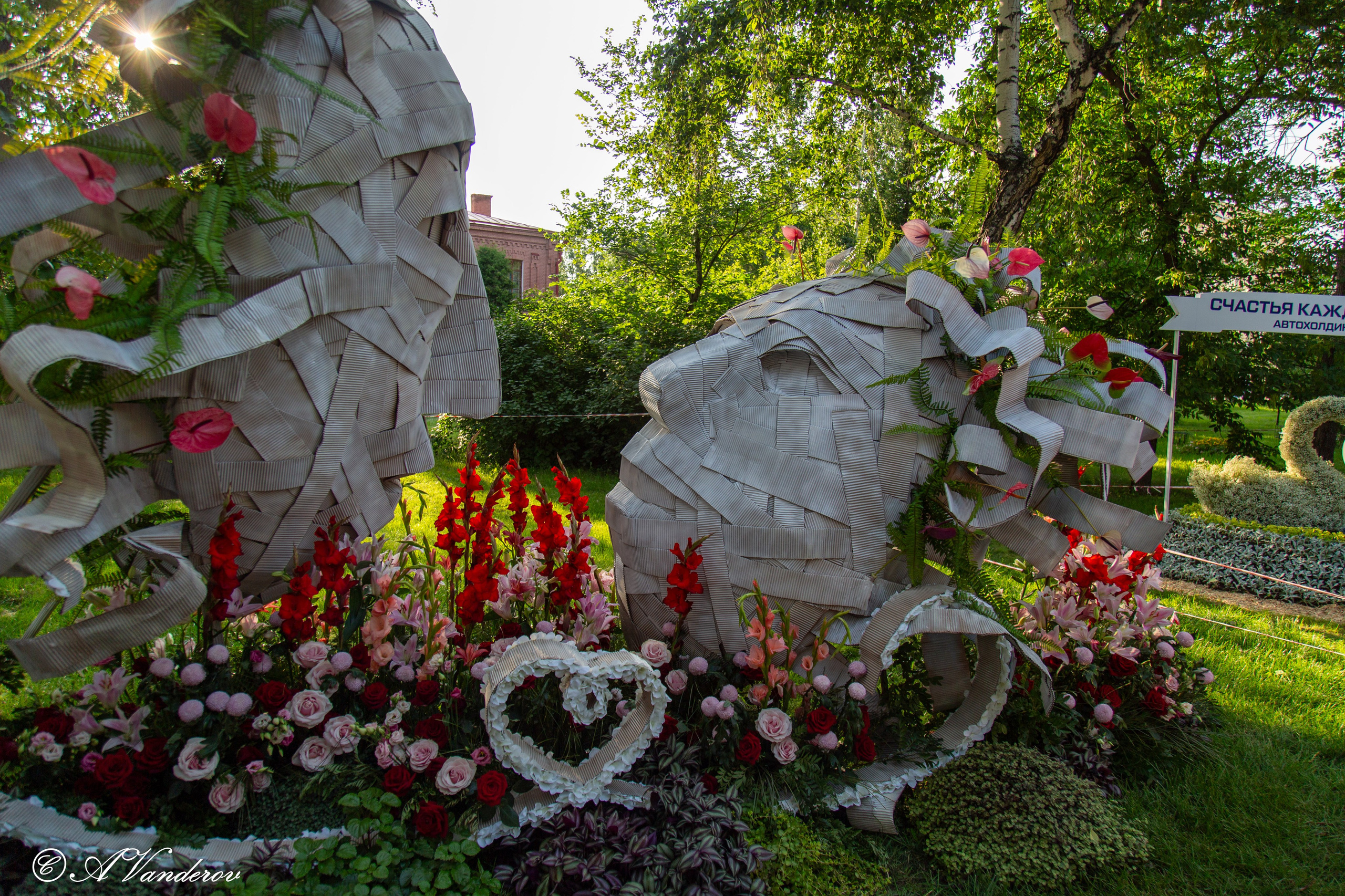 День города 03.08.2024. Фотограф Омск | Александр Вандеров