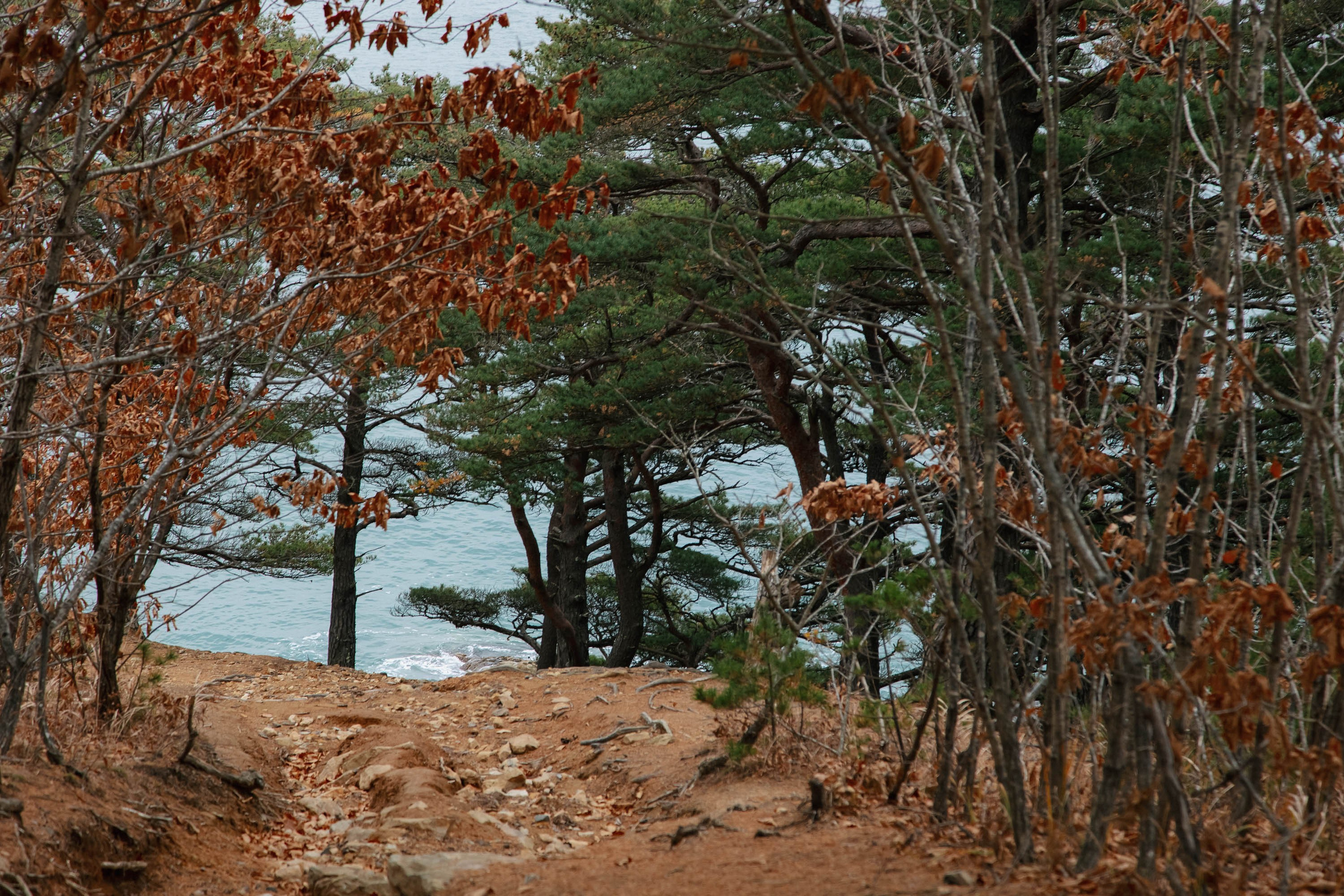 Пока не застроили. Evgeniya Kokurina