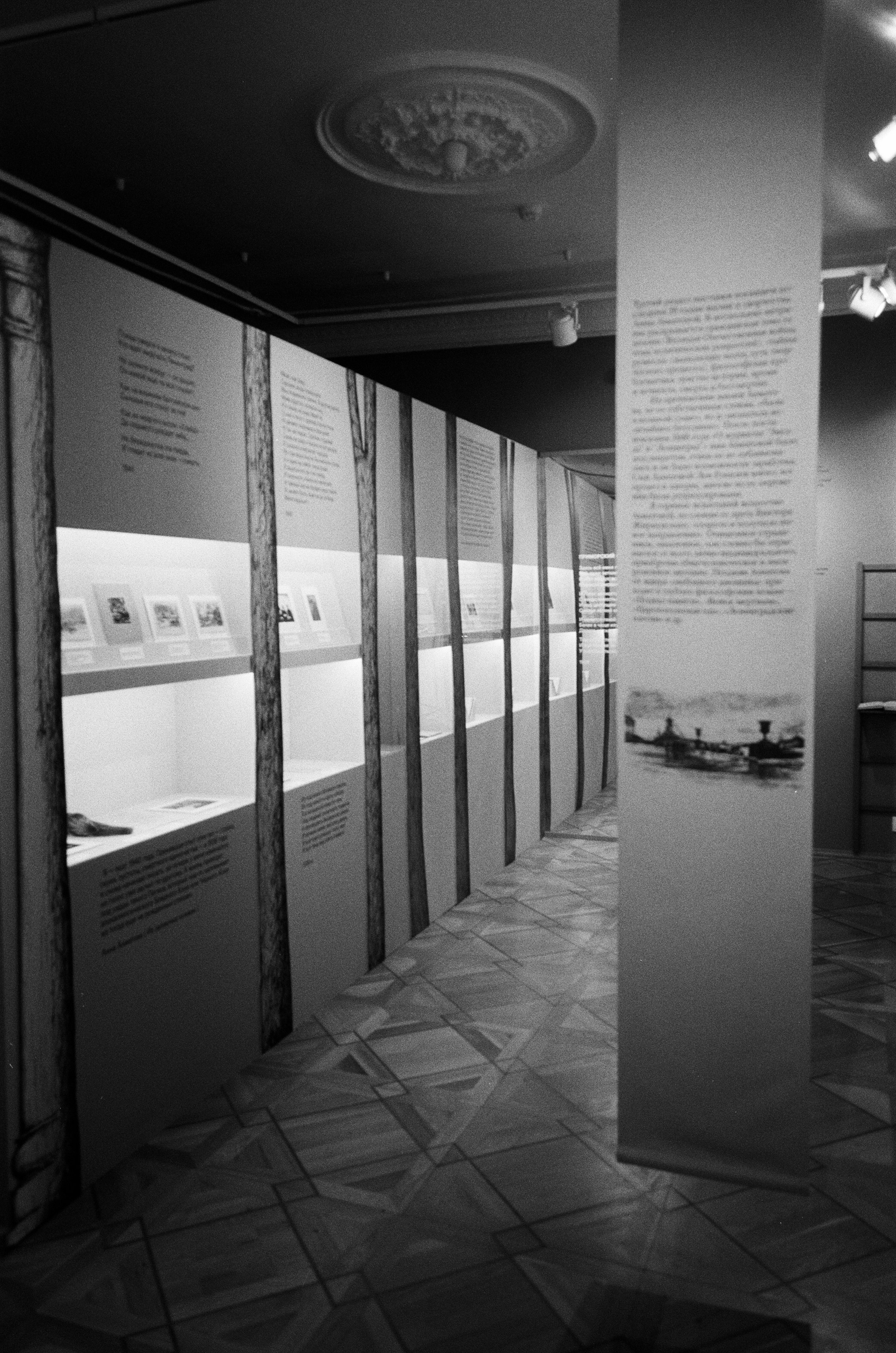 Ноябрьские вечера. Джаз в зале Чайковского и музей Марины Цветаевой. Фотограф-документалист Мария Осокина