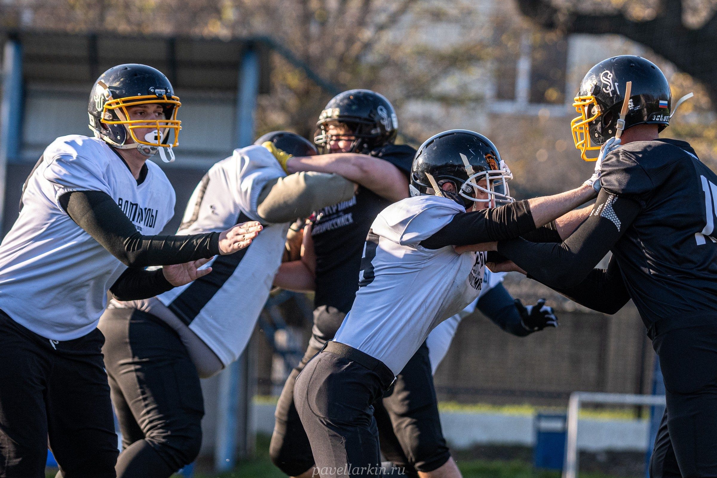 Адмиралы 2025. Спортивный фотограф, фотожурналист Павел Ларькин