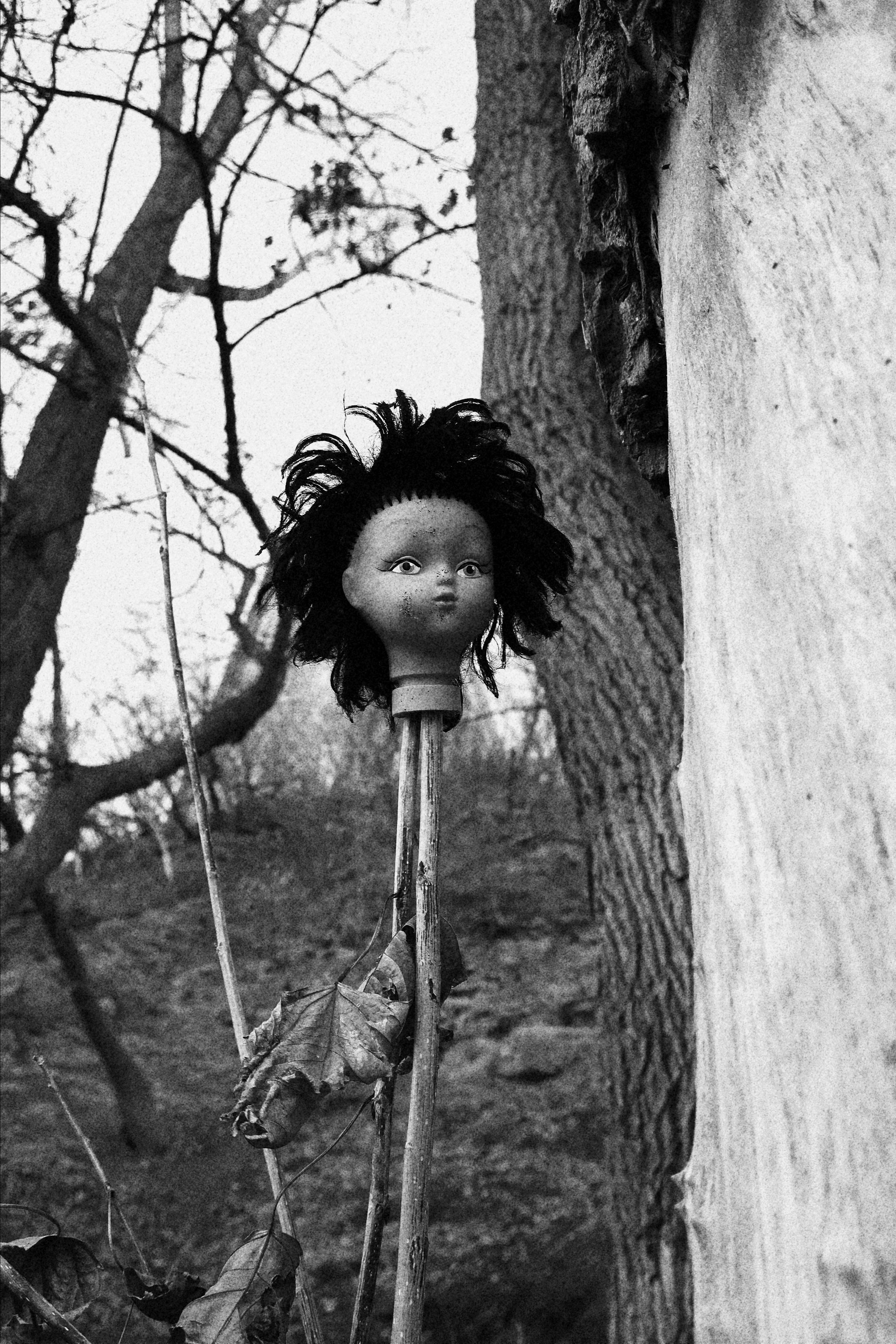 Provoke. Художник Екатерина Оленина