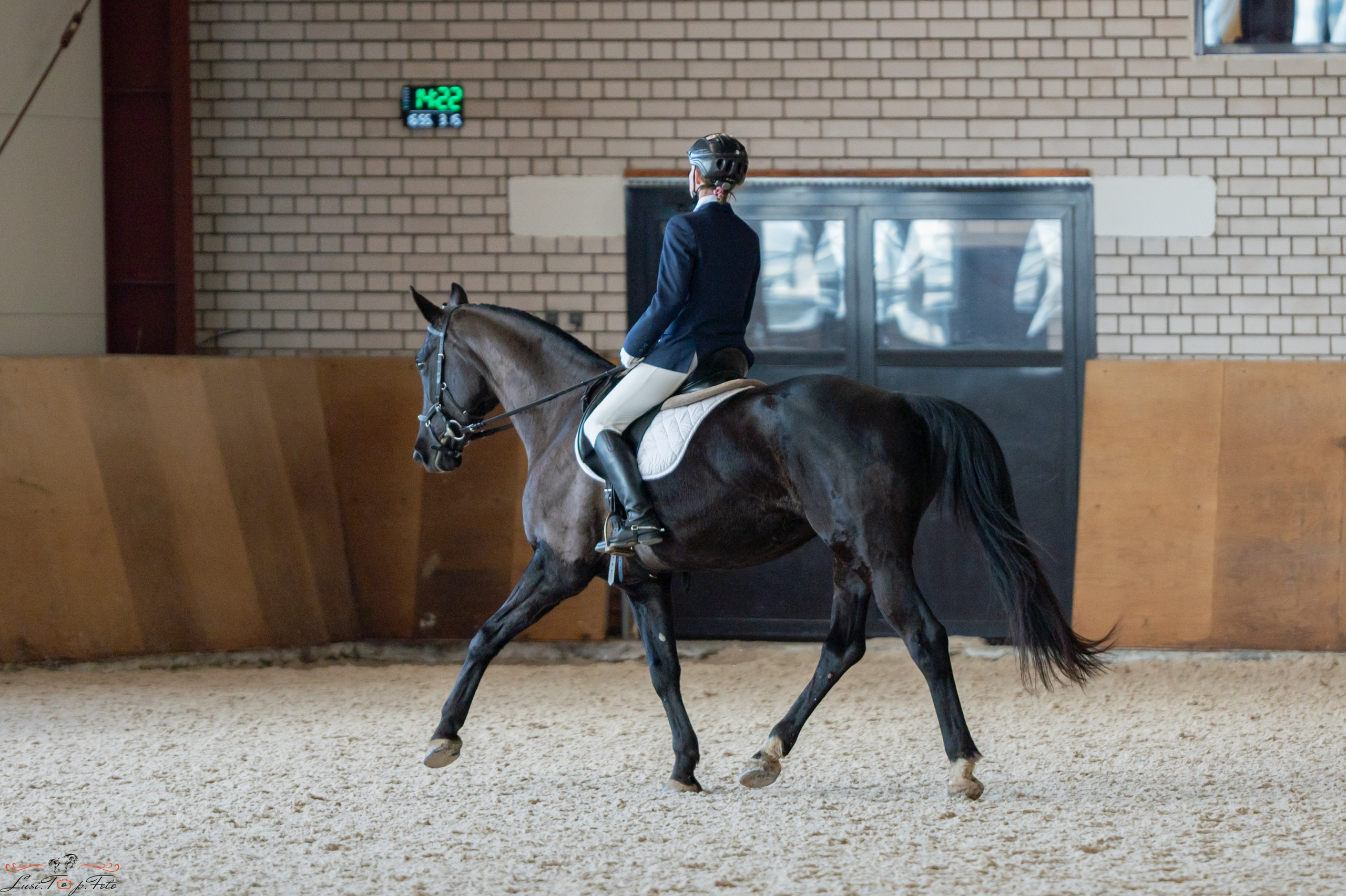 Эквипарк 6 этап Кубка Клубов. Конный и фотограф с животными в Твери Топталова Люся